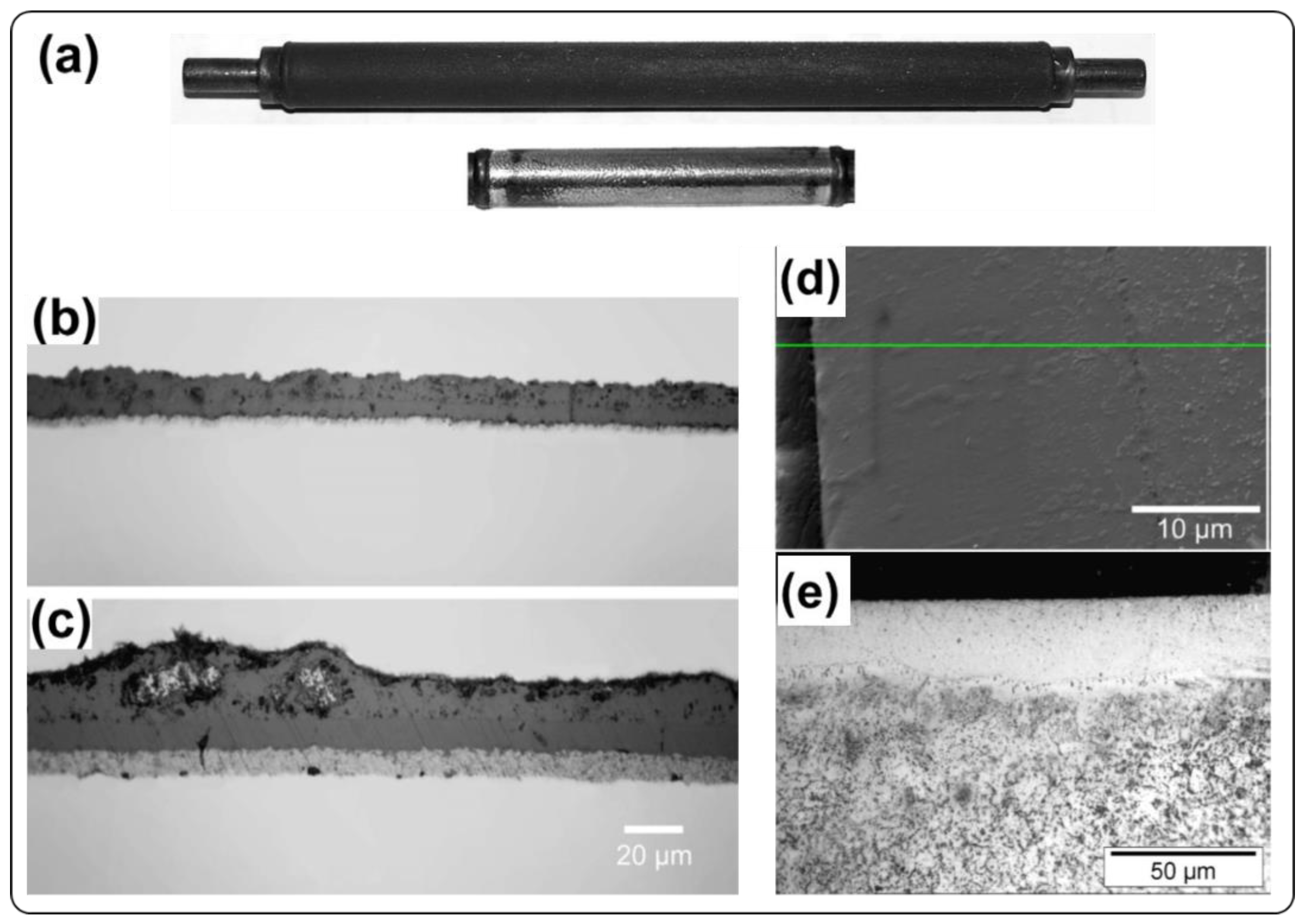 Coatings 11 00364 g005