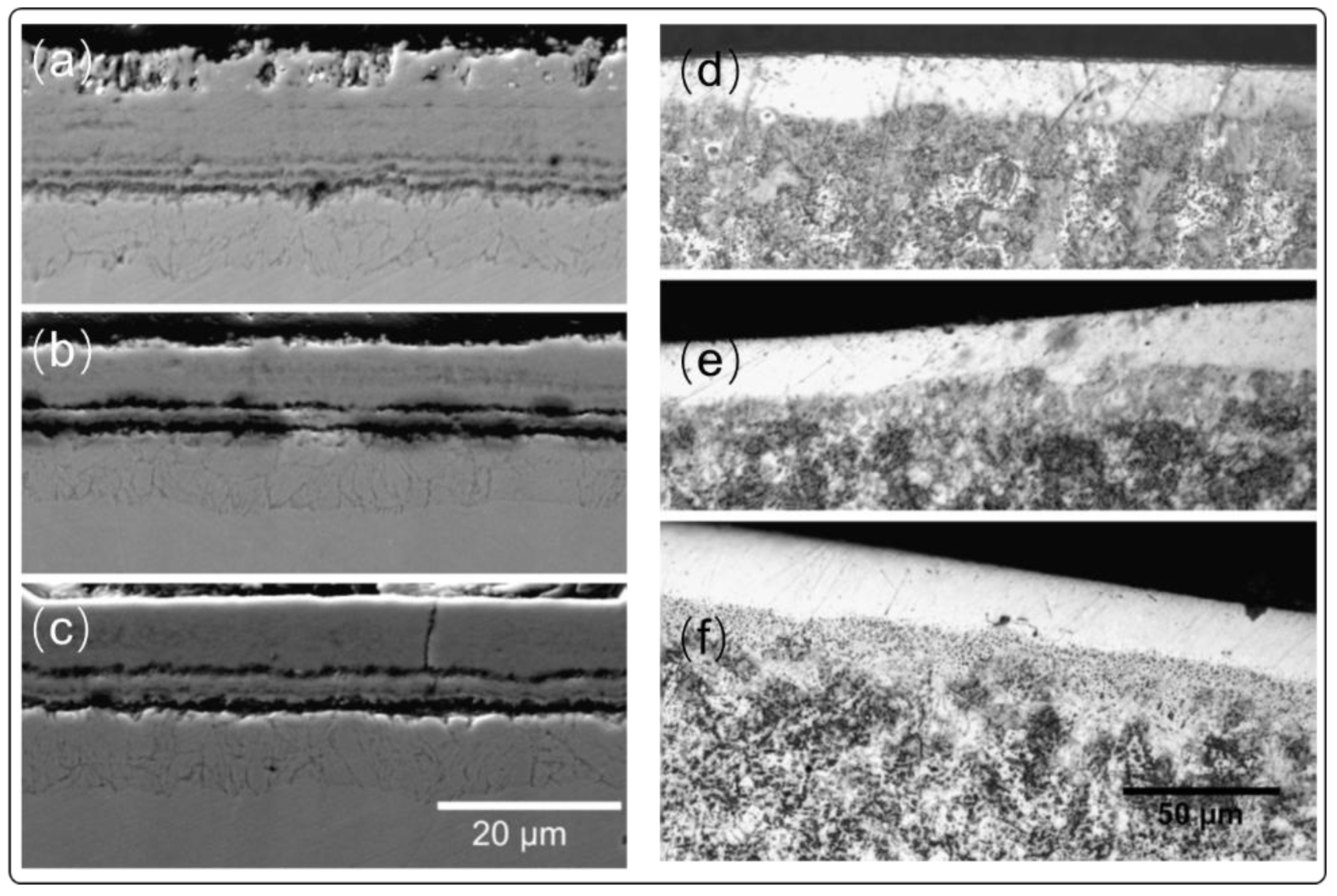 Coatings 11 00364 g006