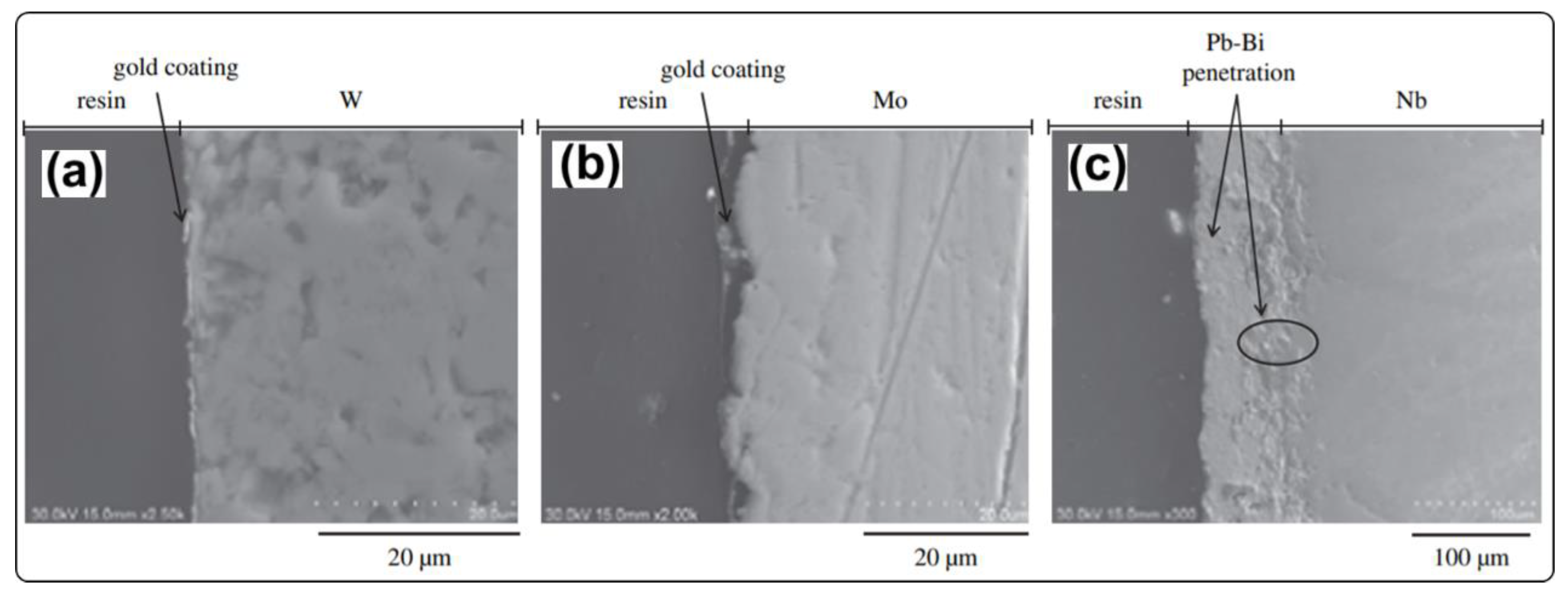 Coatings 11 00364 g007