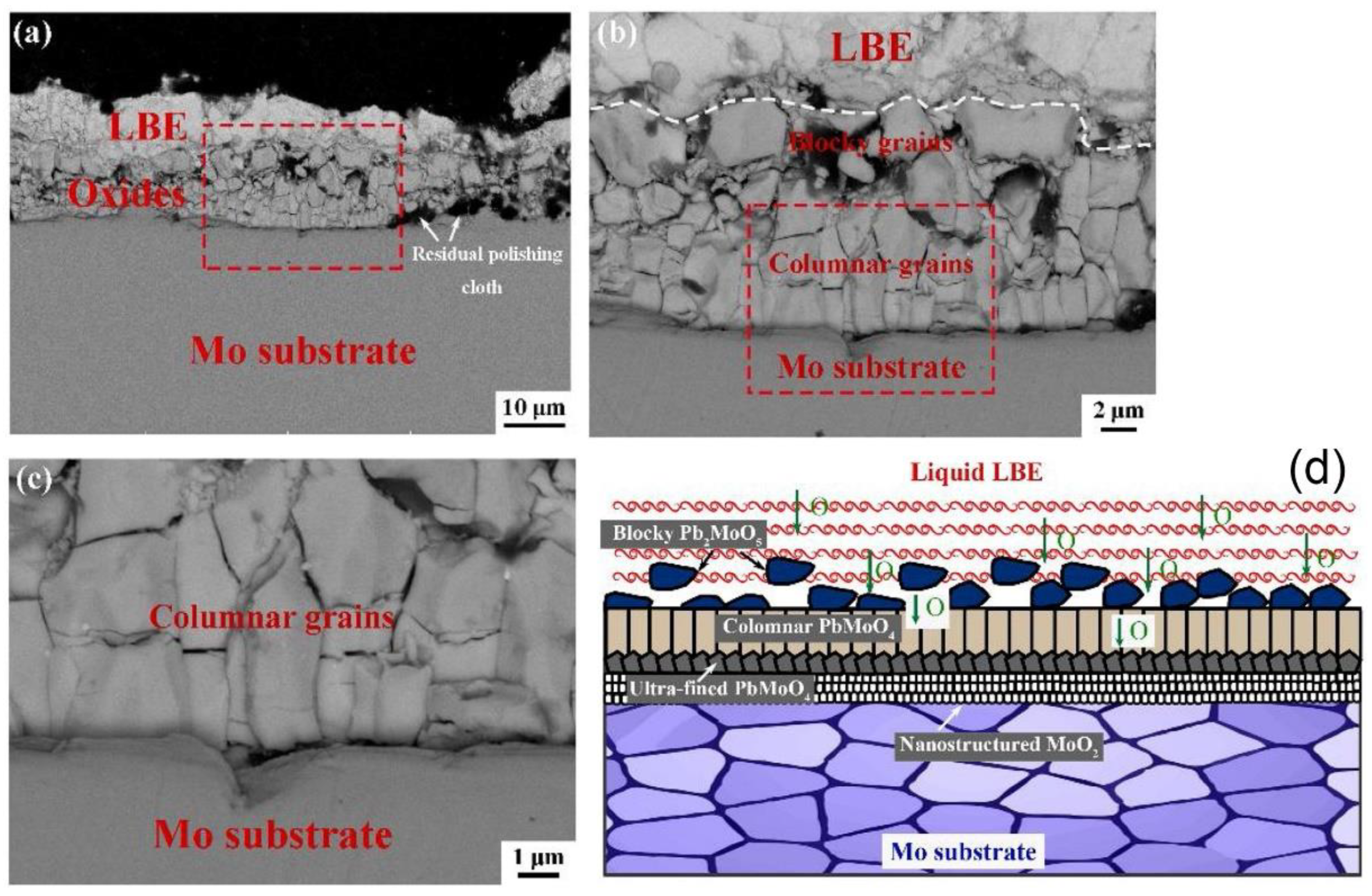 Coatings 11 00364 g008