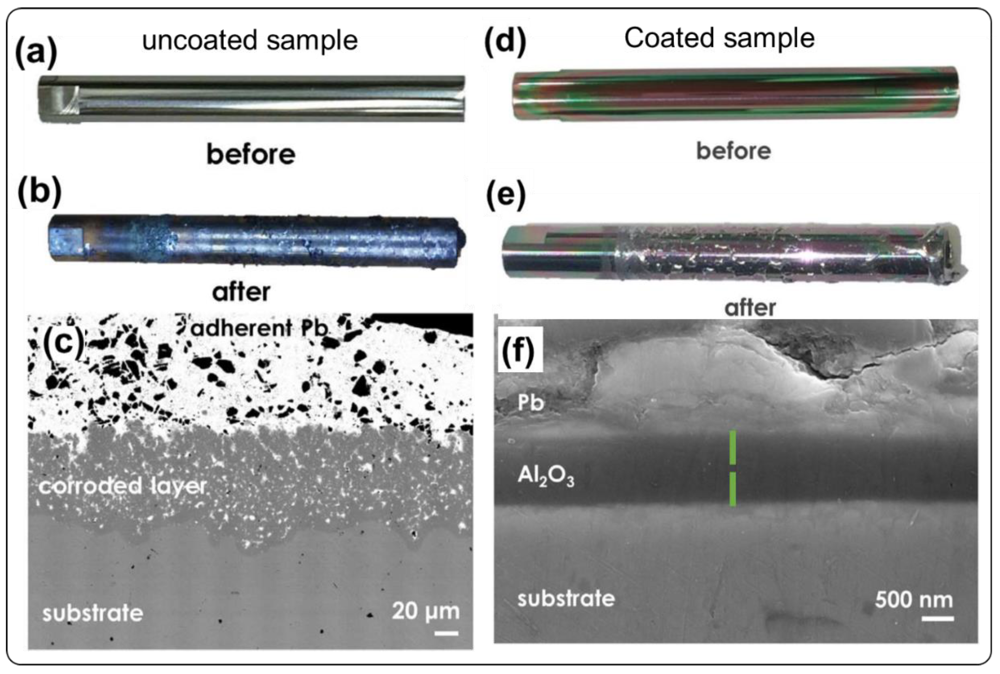 Coatings 11 00364 g011
