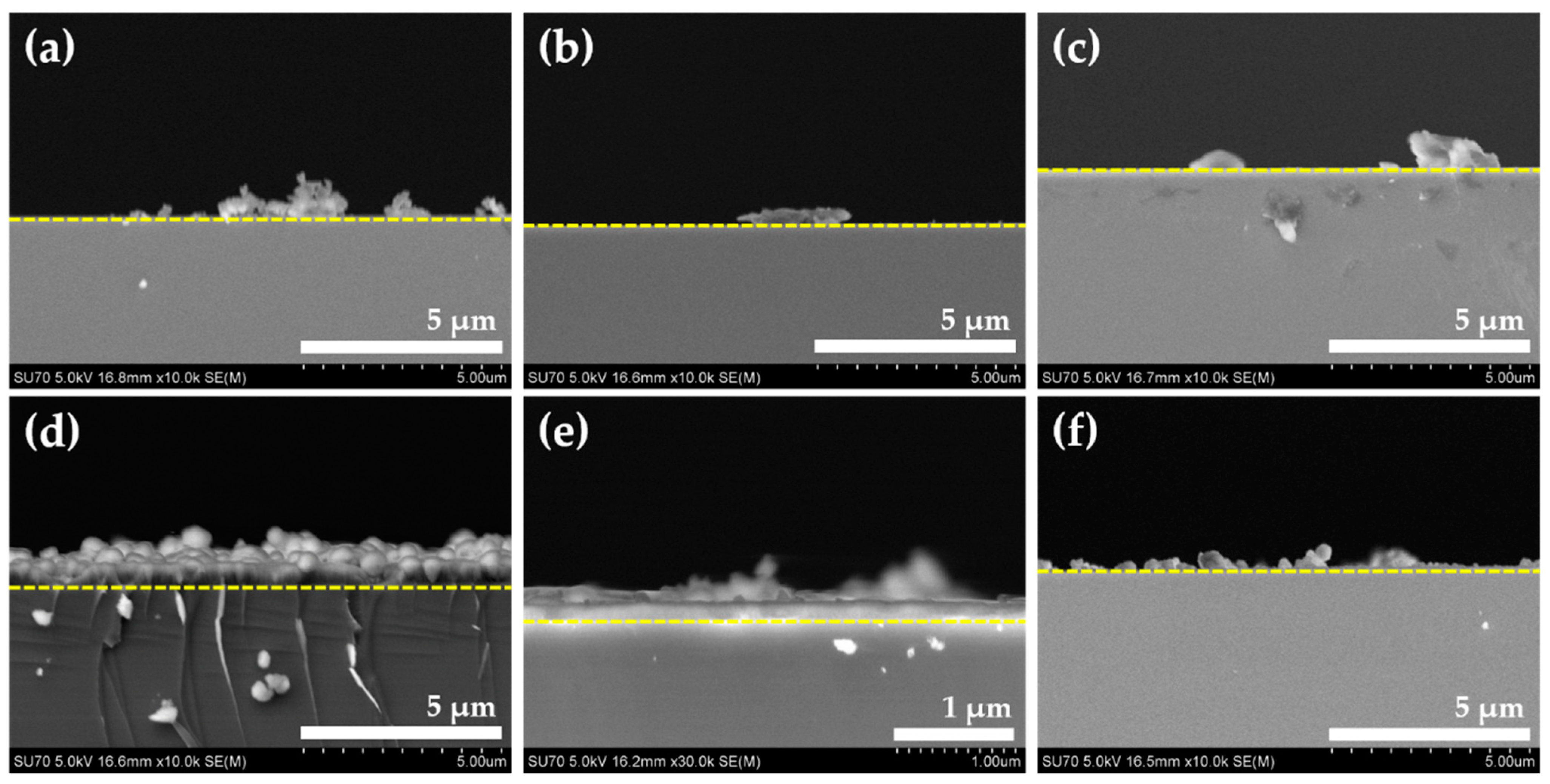 Coatings 11 00365 g002