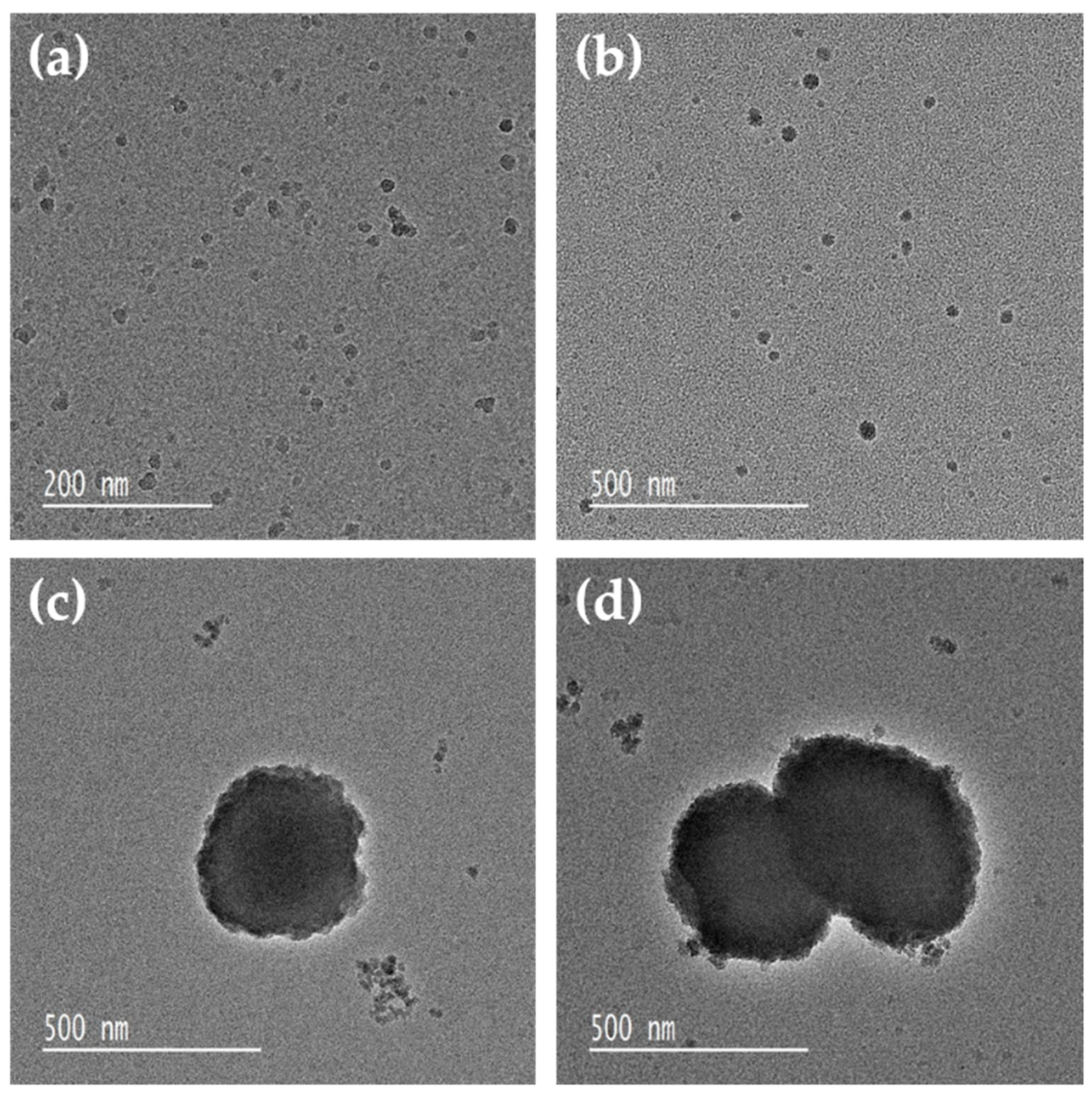 Coatings 11 00365 g004