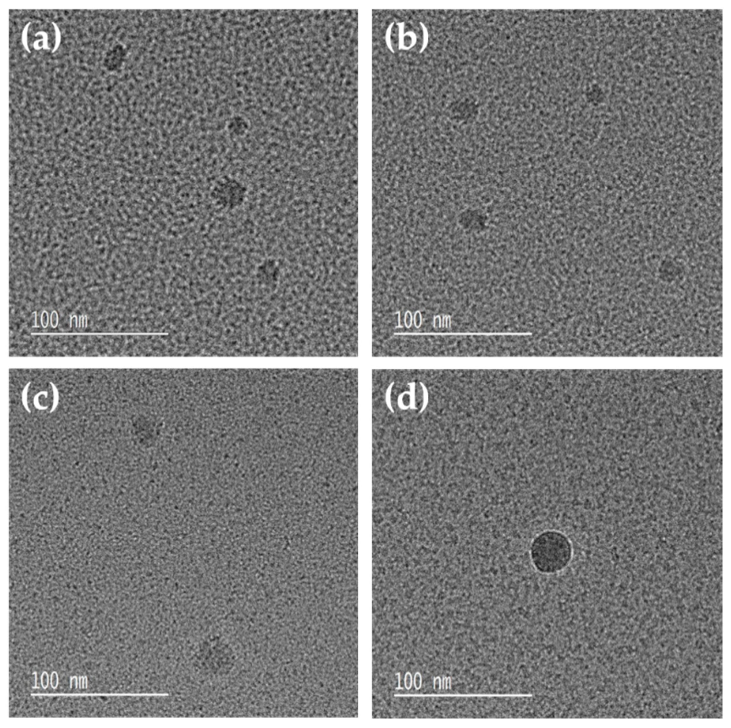 Coatings 11 00365 g005