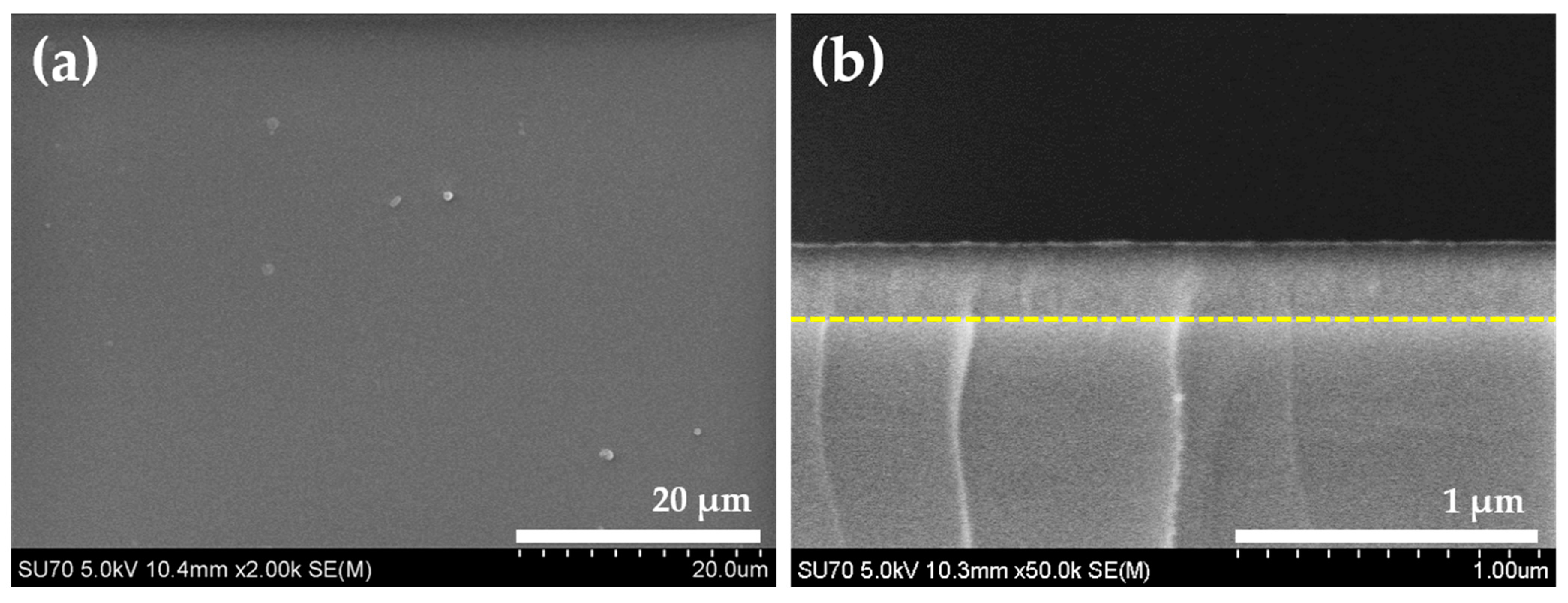 Coatings 11 00365 g006