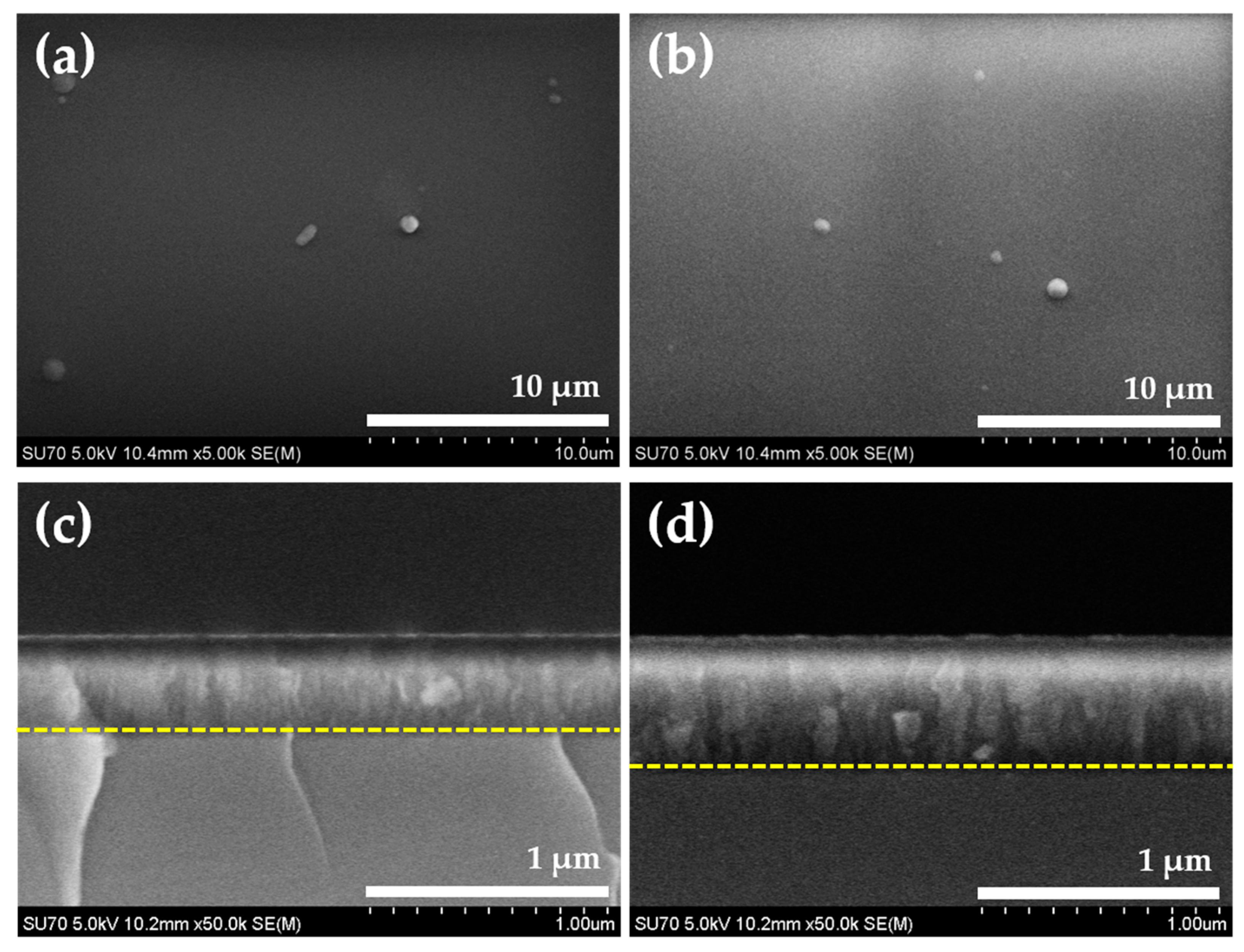 Coatings 11 00365 g007