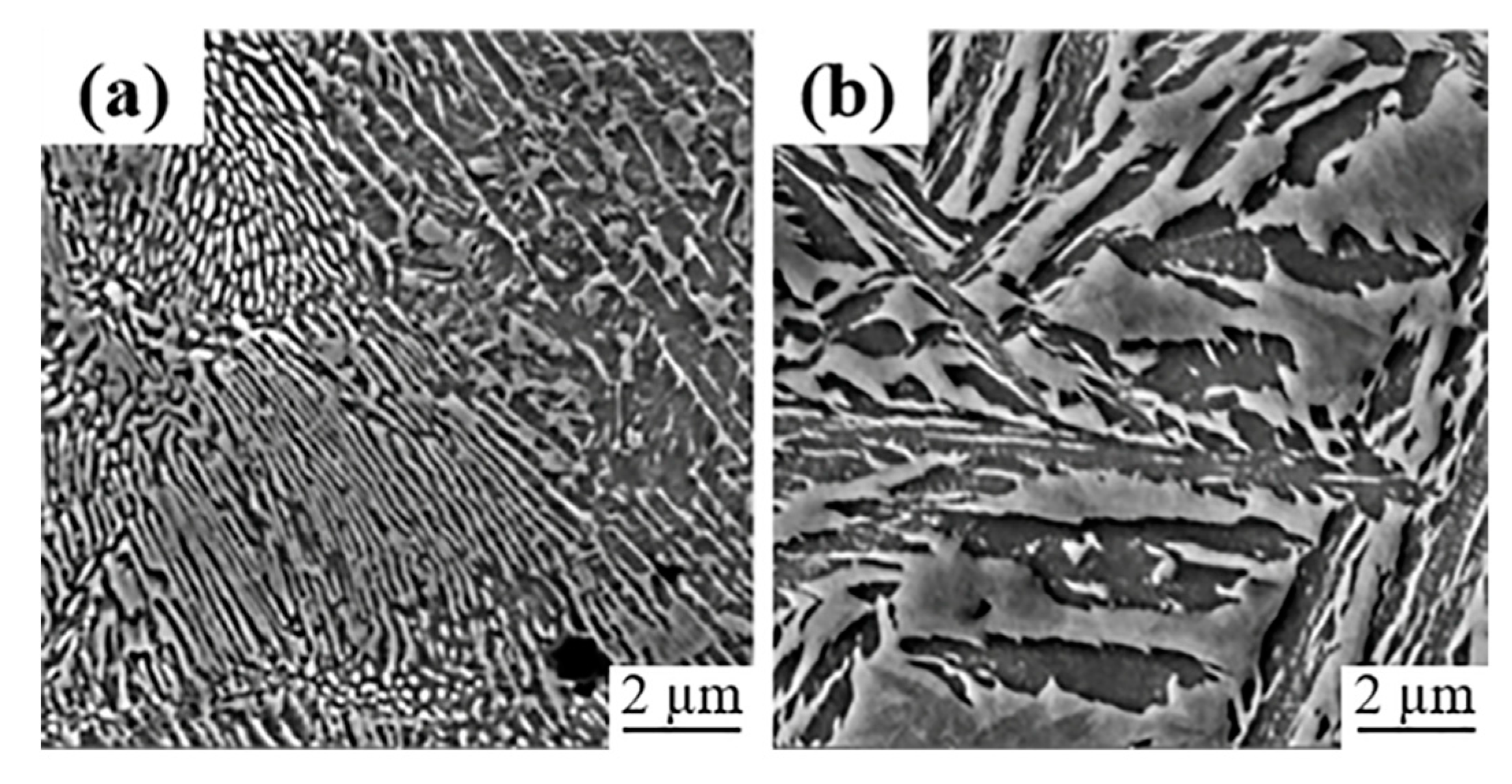 Coatings 11 00368 g007 Coatings 11 00368 g007