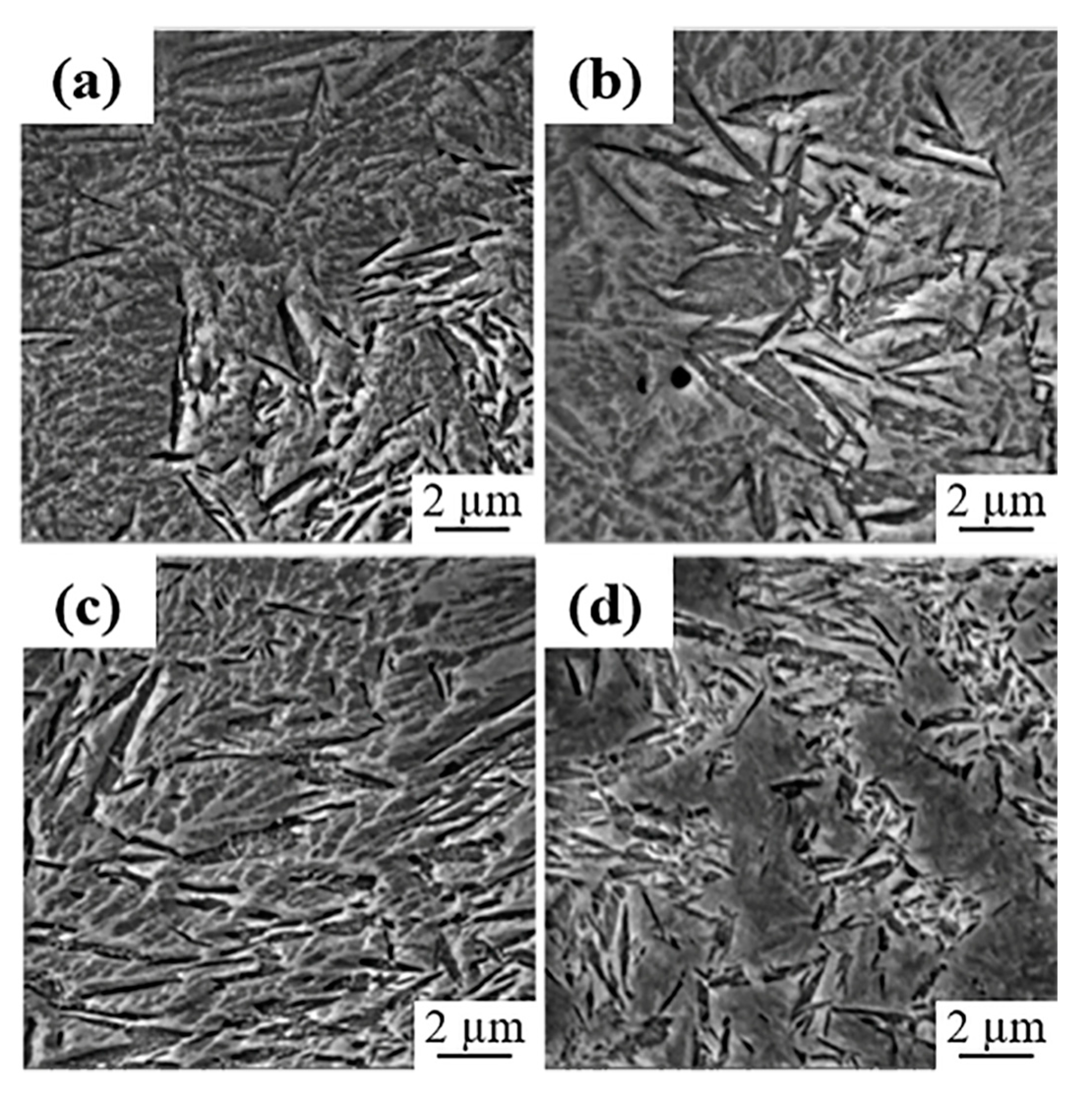 Coatings 11 00368 g011 Coatings 11 00368 g011