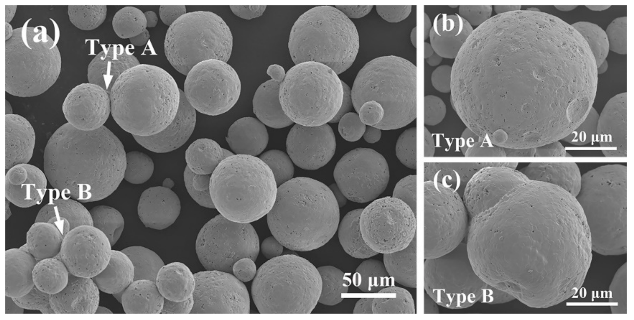 Coatings 11 00373 g008
