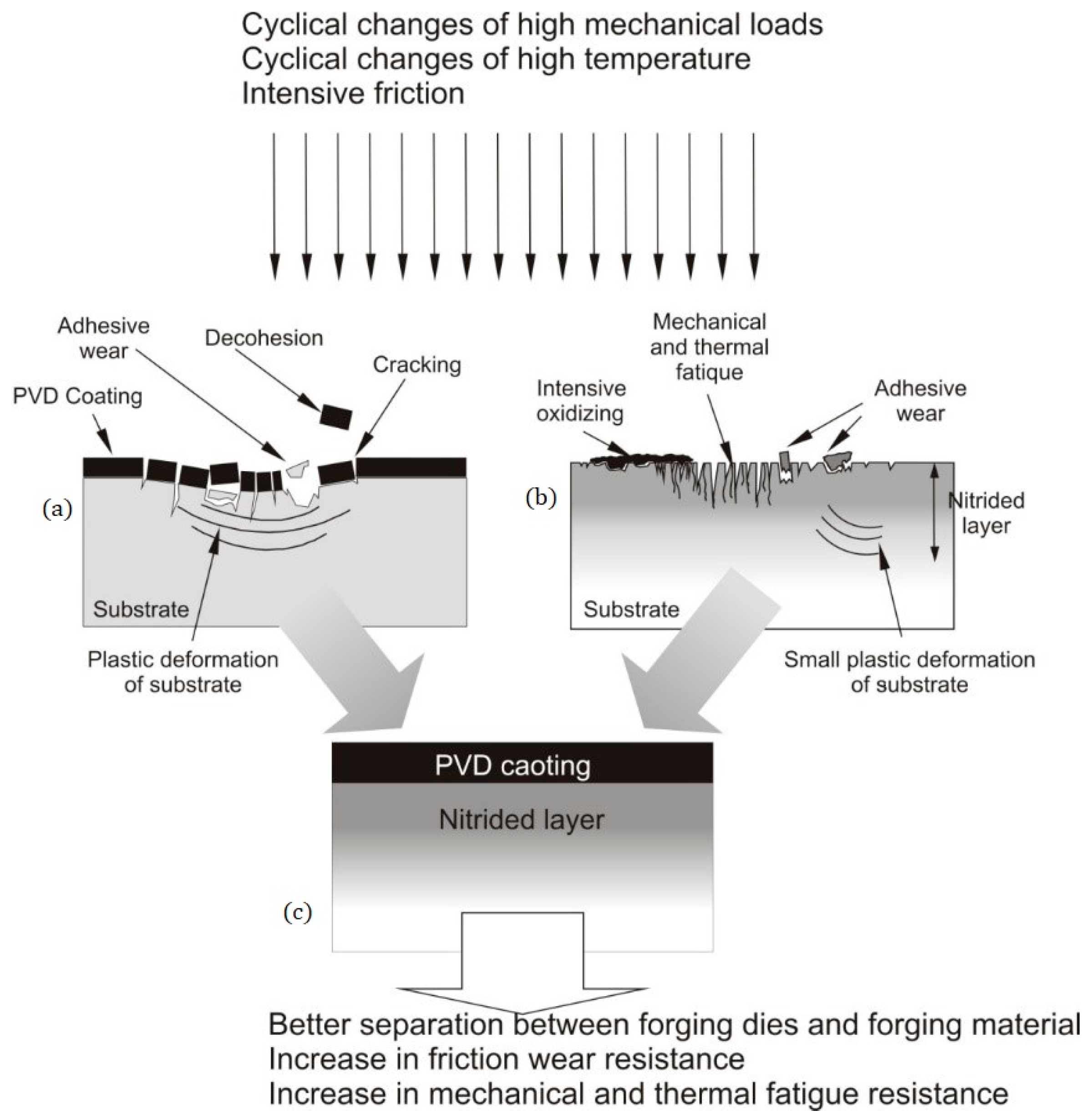 Coatings 11 00376 g004 Coatings 11 00376 g004