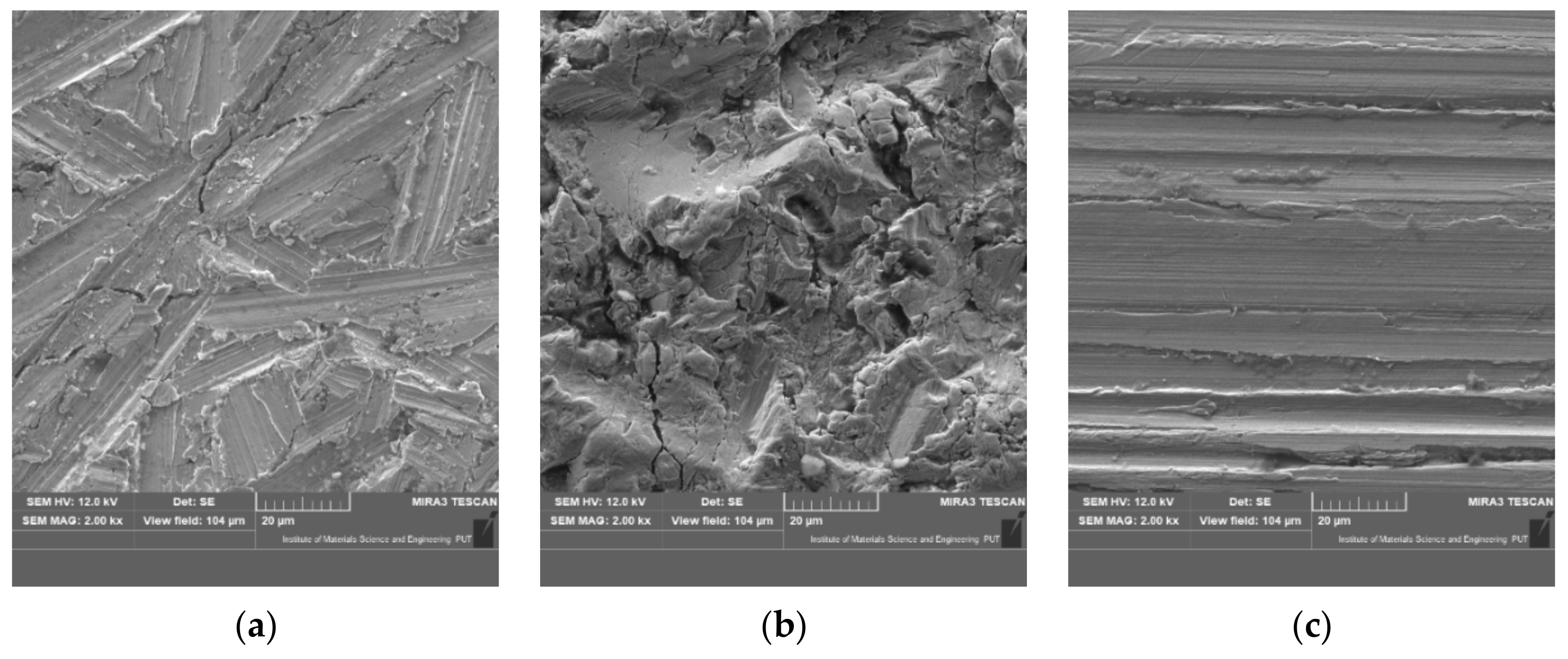 Coatings 11 00384 g010 Coatings 11 00384 g010