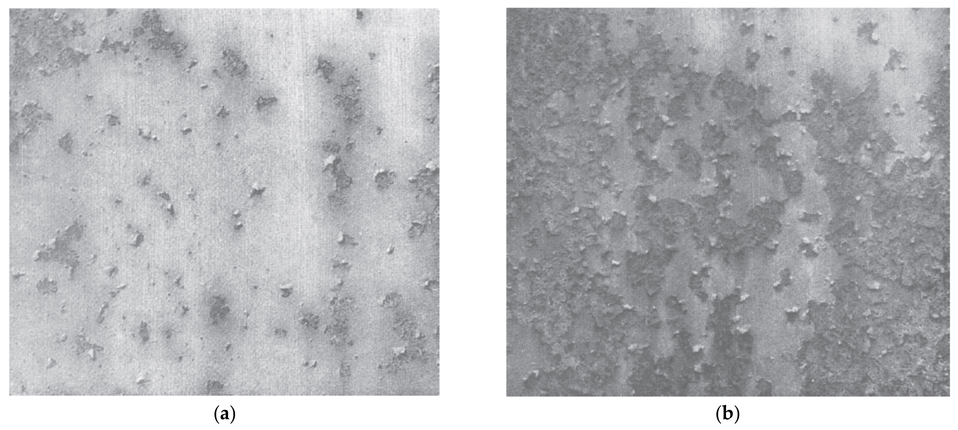 Coatings 11 00384 g012 Coatings 11 00384 g012