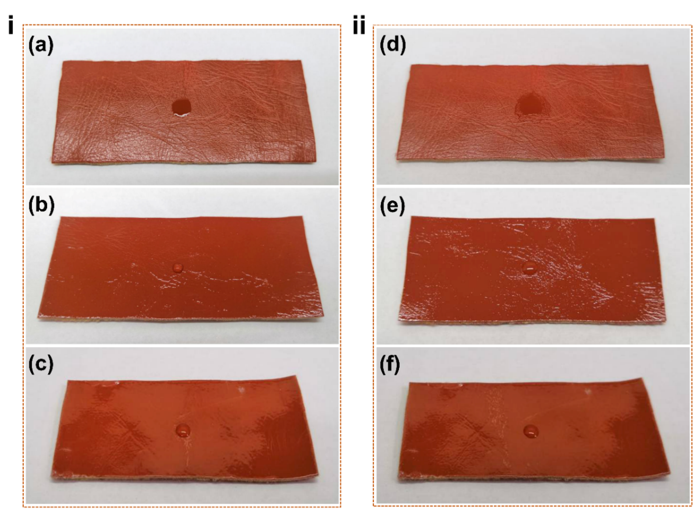 Coatings 11 00395 g006