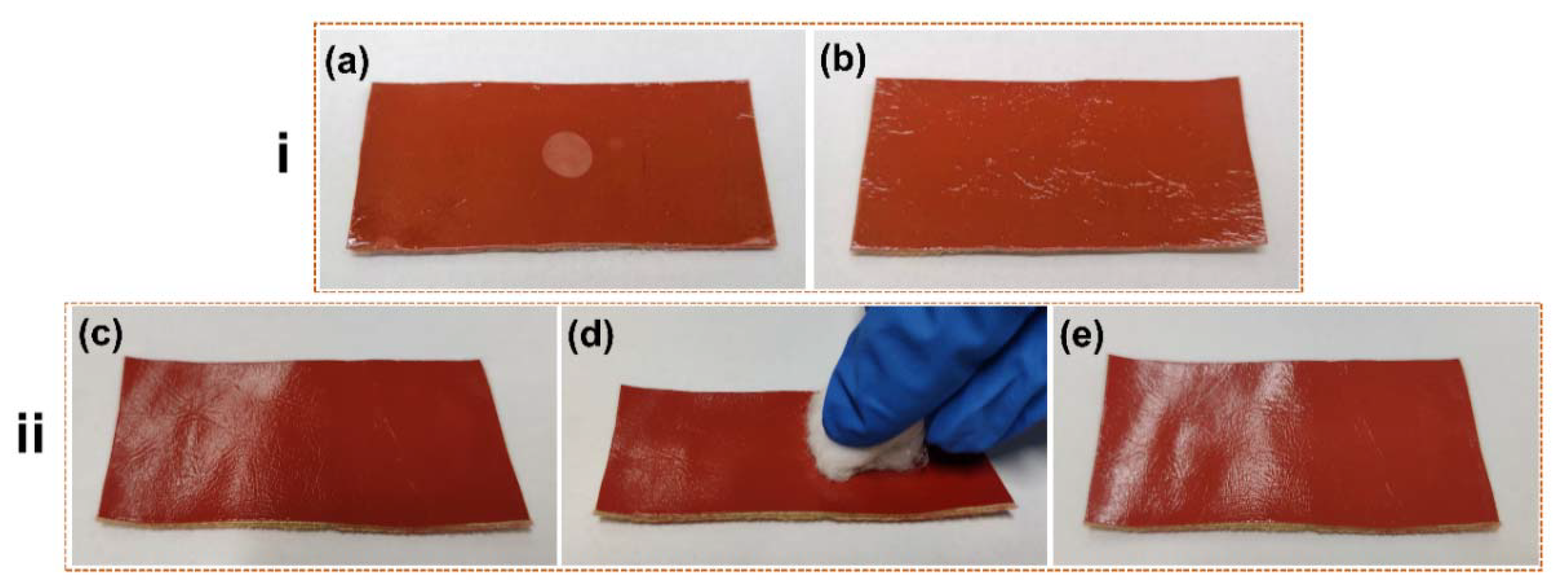 Coatings 11 00395 g007
