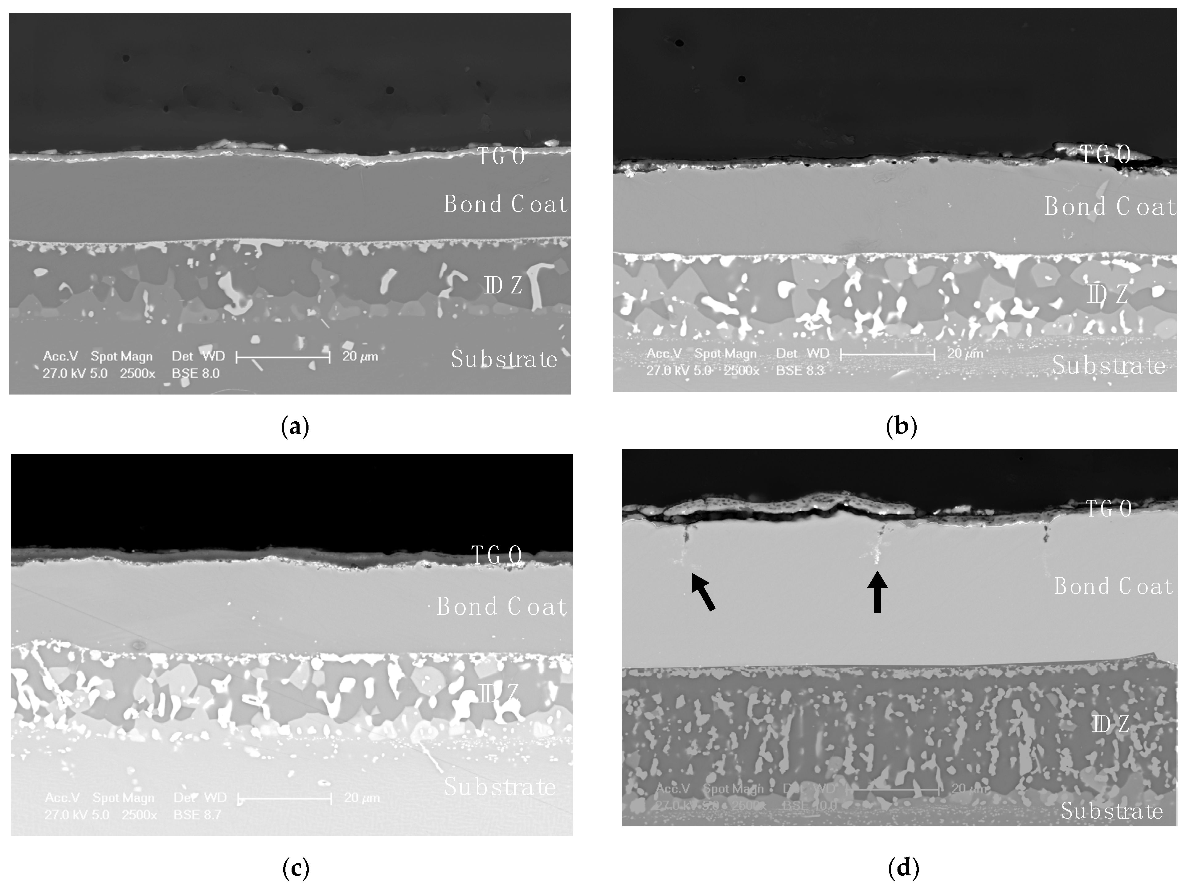 Coatings 11 00412 g007 Coatings 11 00412 g007