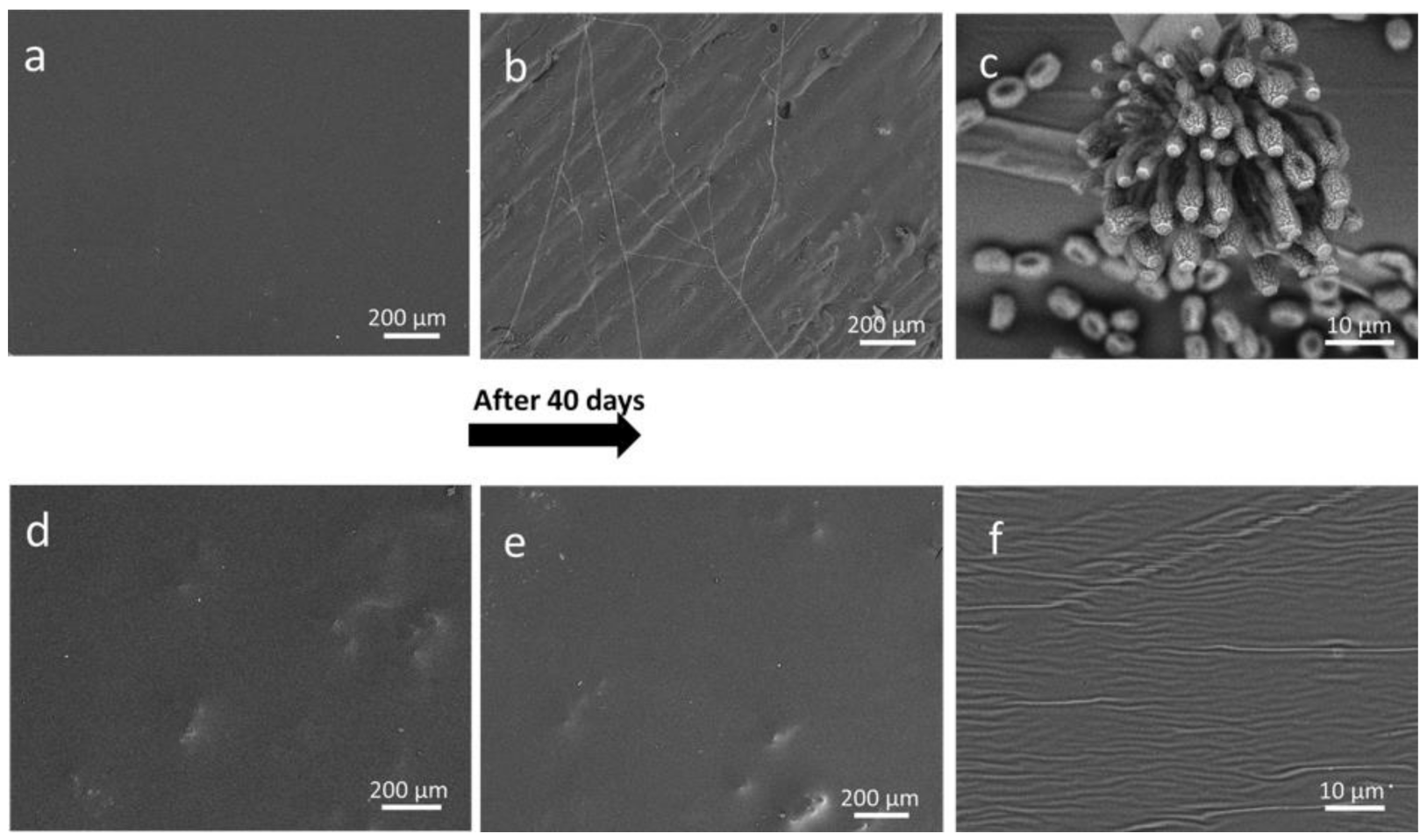 Coatings 11 00419 g007 Coatings 11 00419 g007