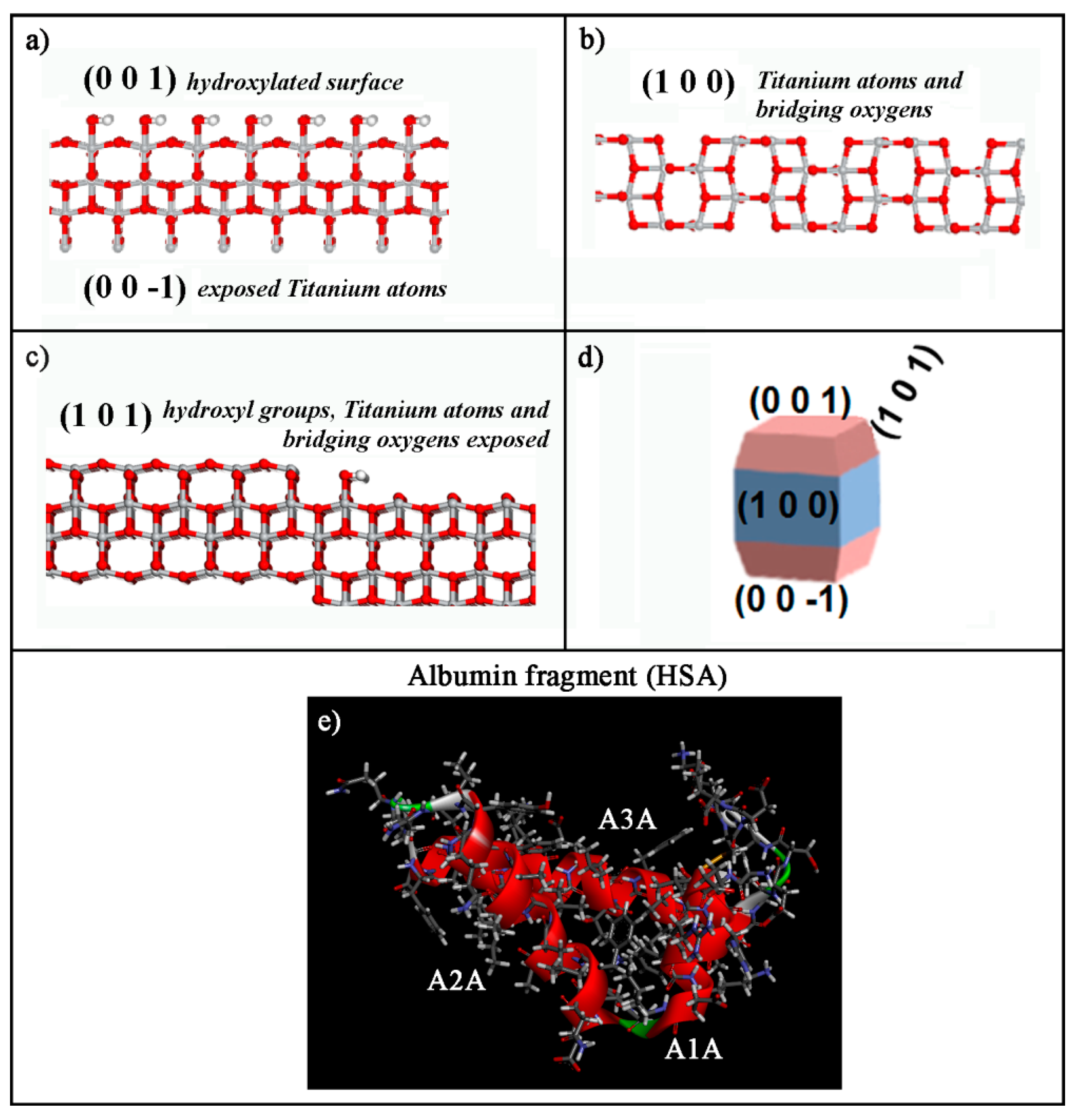 Coatings 11 00420 g001