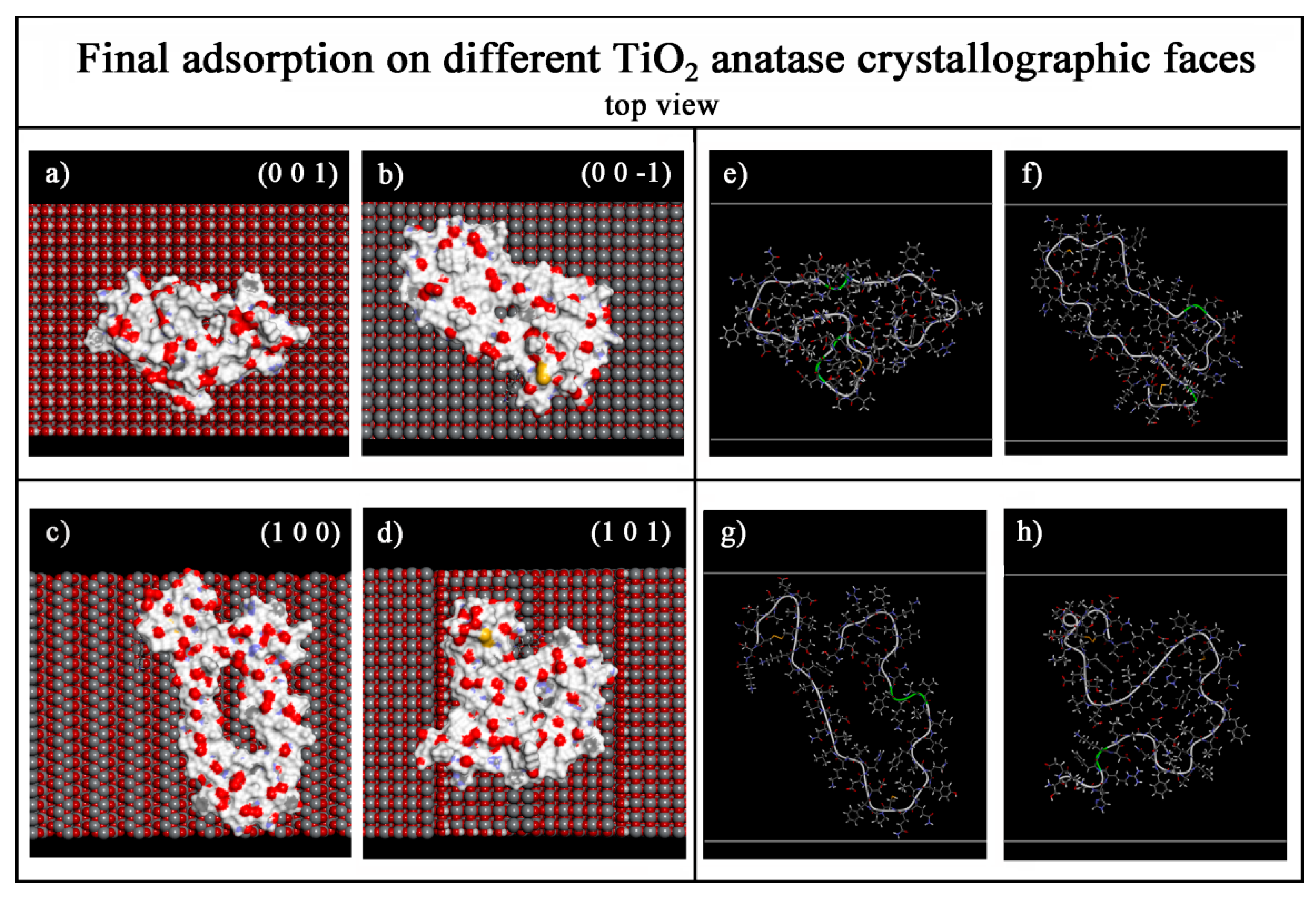 Coatings 11 00420 g006
