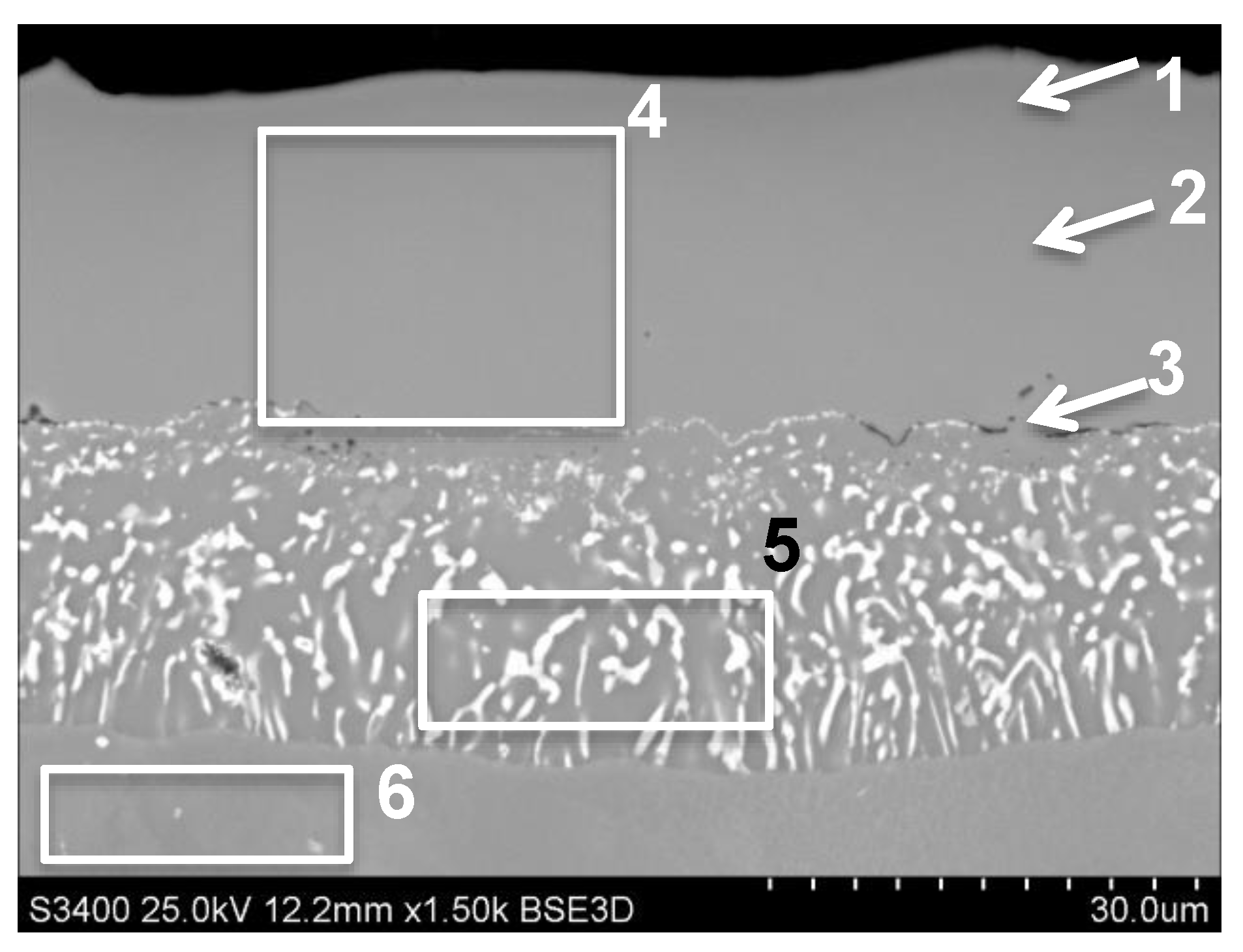Coatings 11 00421 g001