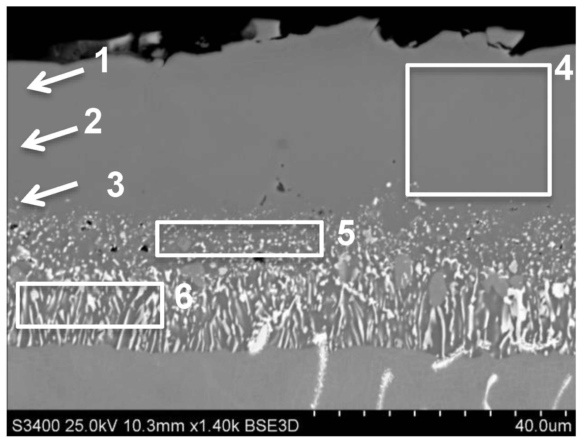 Coatings 11 00421 g002