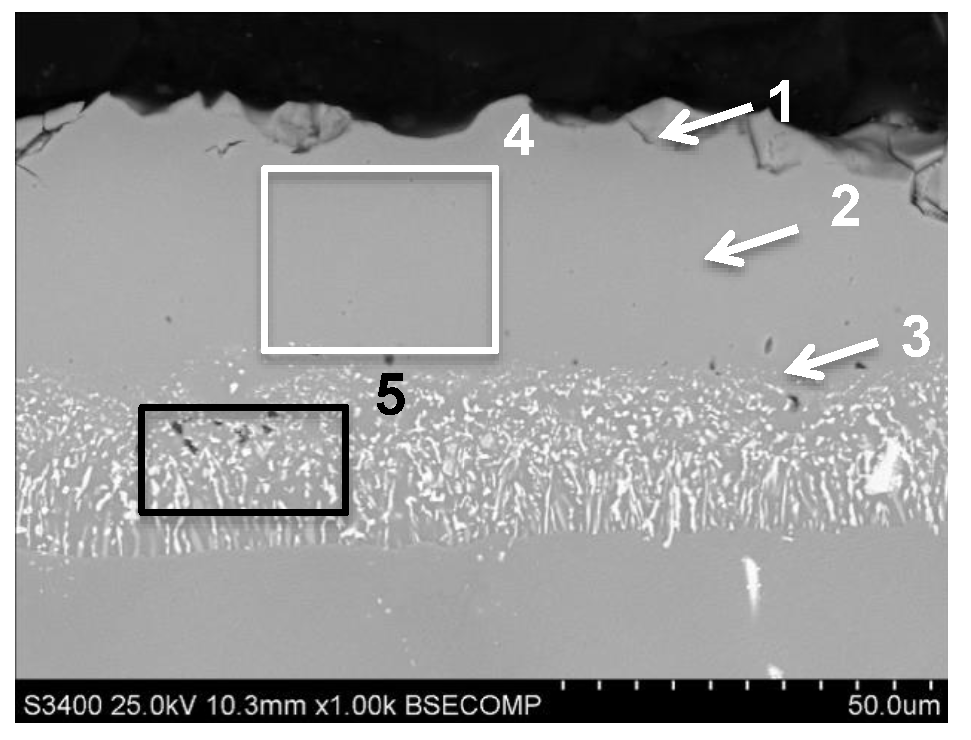 Coatings 11 00421 g005
