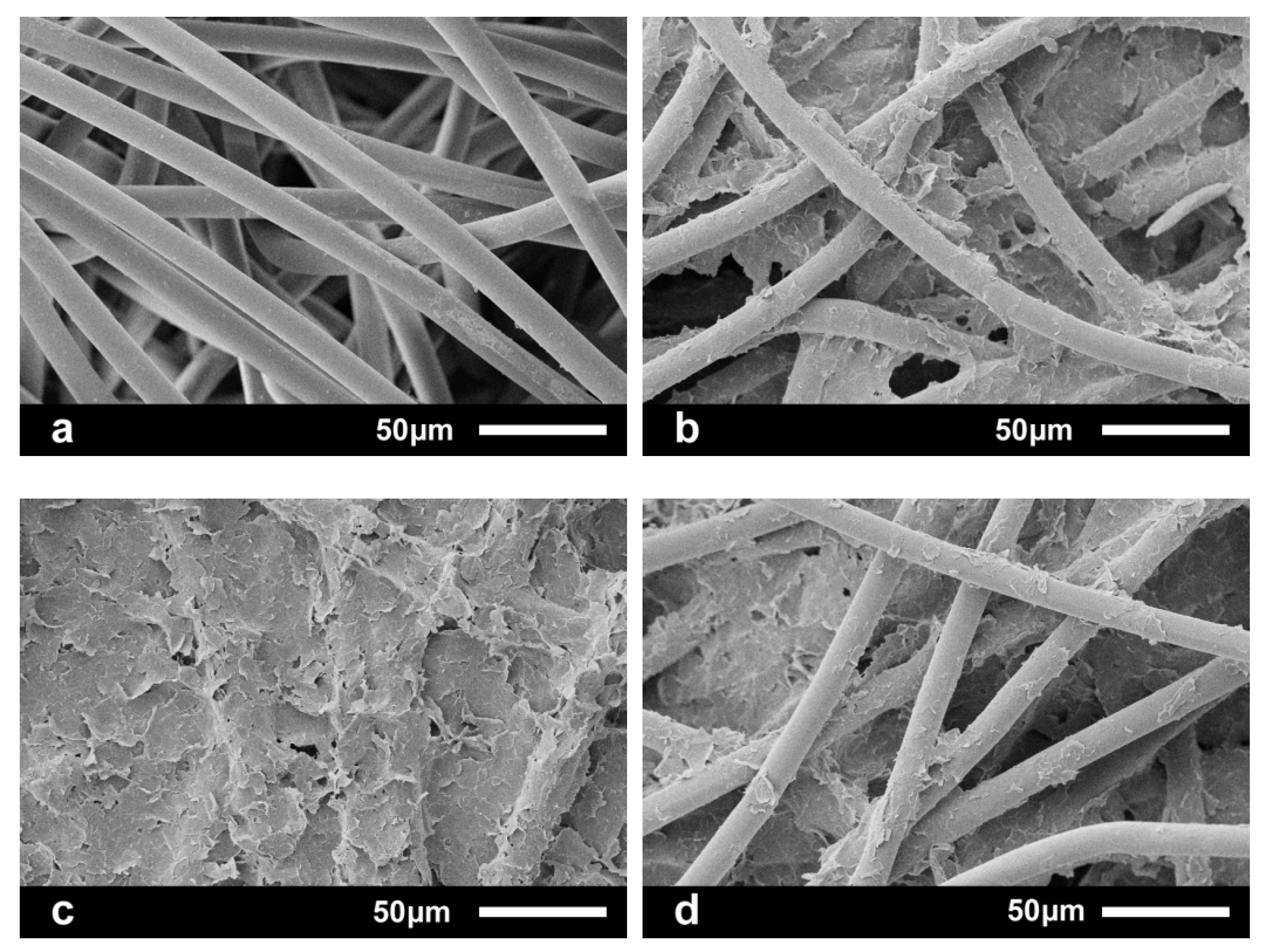 Coatings 11 00424 g002 Coatings 11 00424 g002