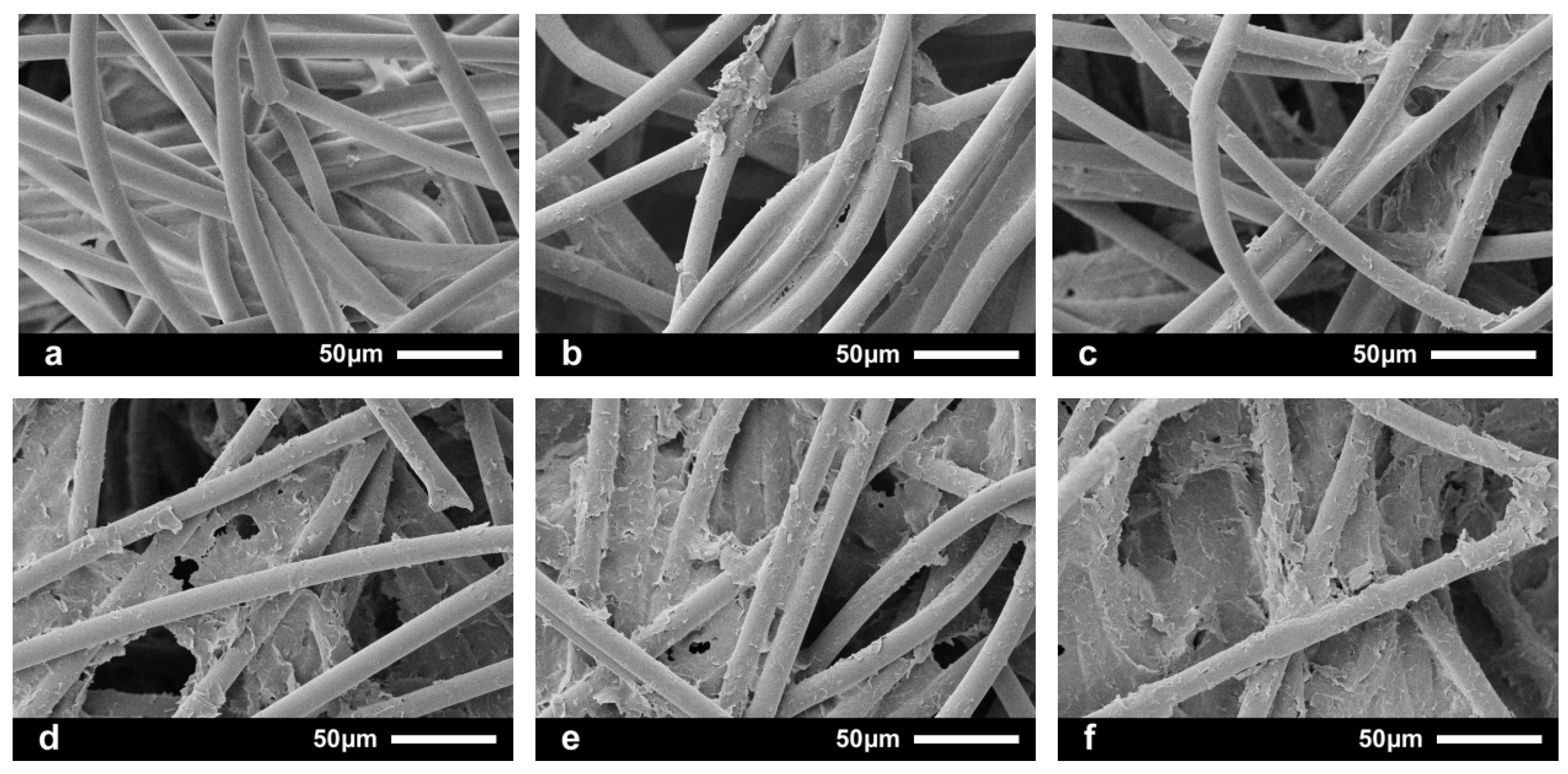 Coatings 11 00424 g008 Coatings 11 00424 g008
