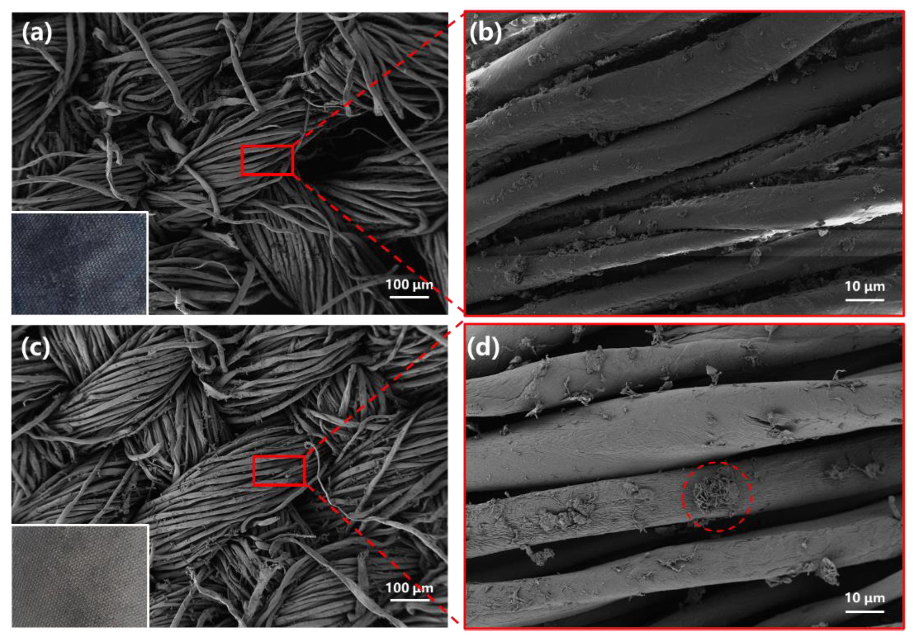 Coatings 11 00426 g006