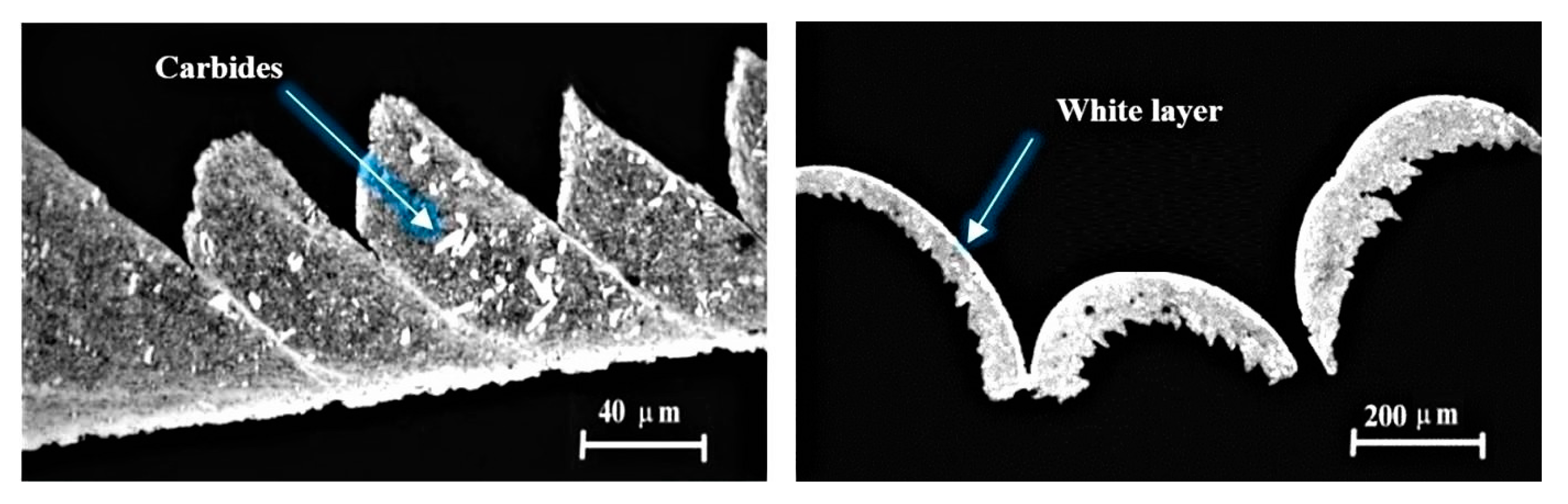 Coatings 11 00428 g001