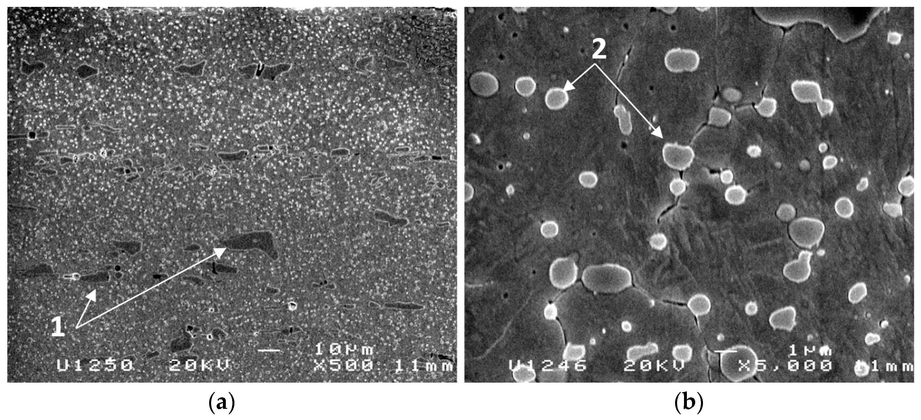 Coatings 11 00428 g002
