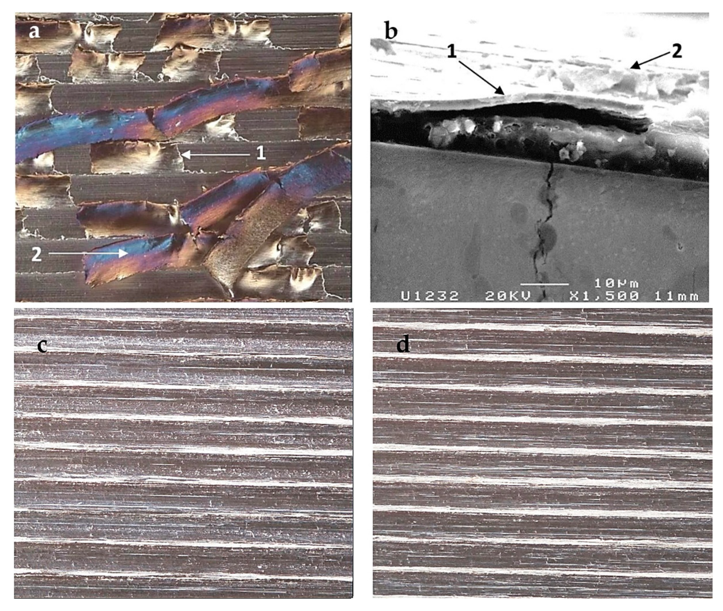 Coatings 11 00428 g005