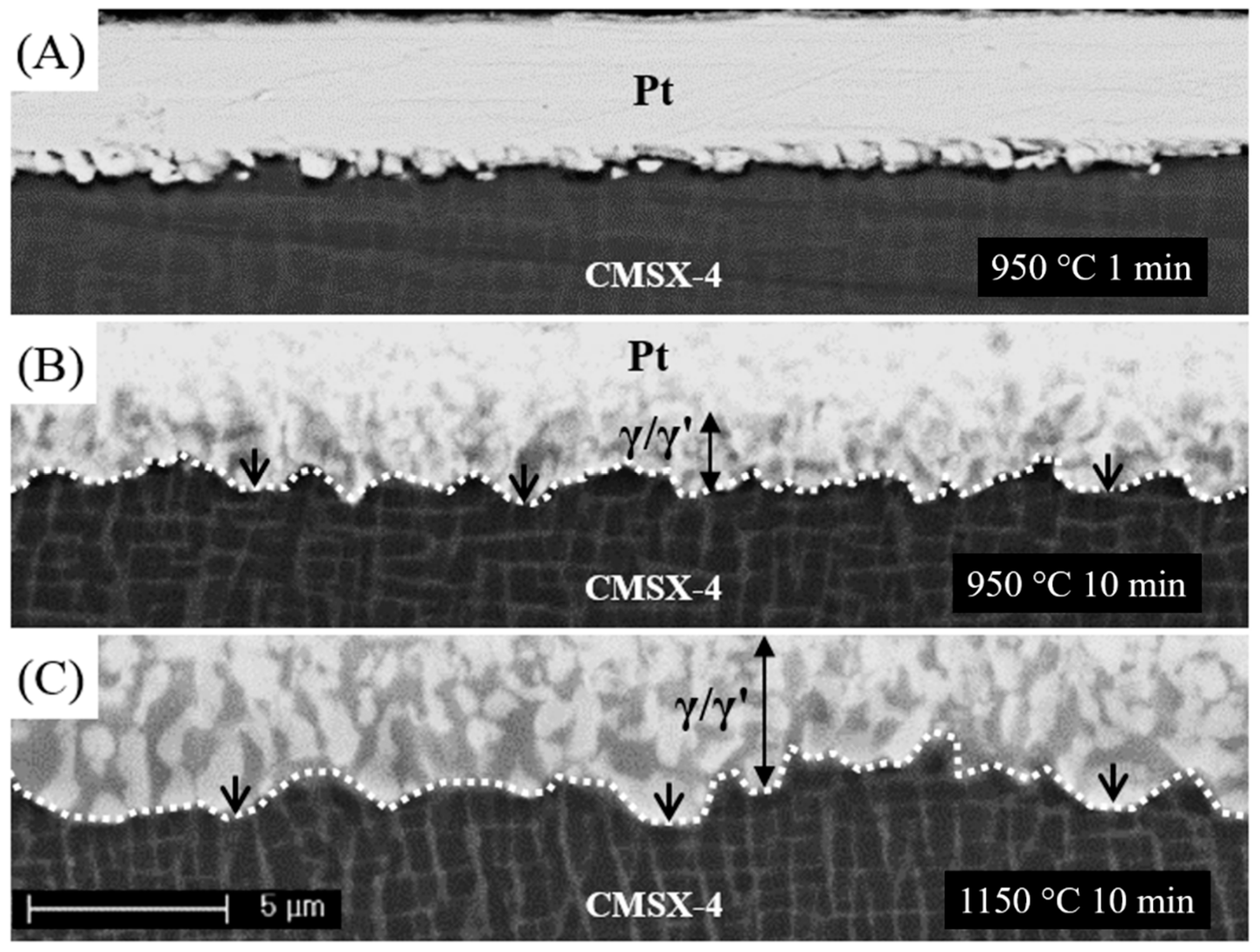 Coatings 11 00441 g001
