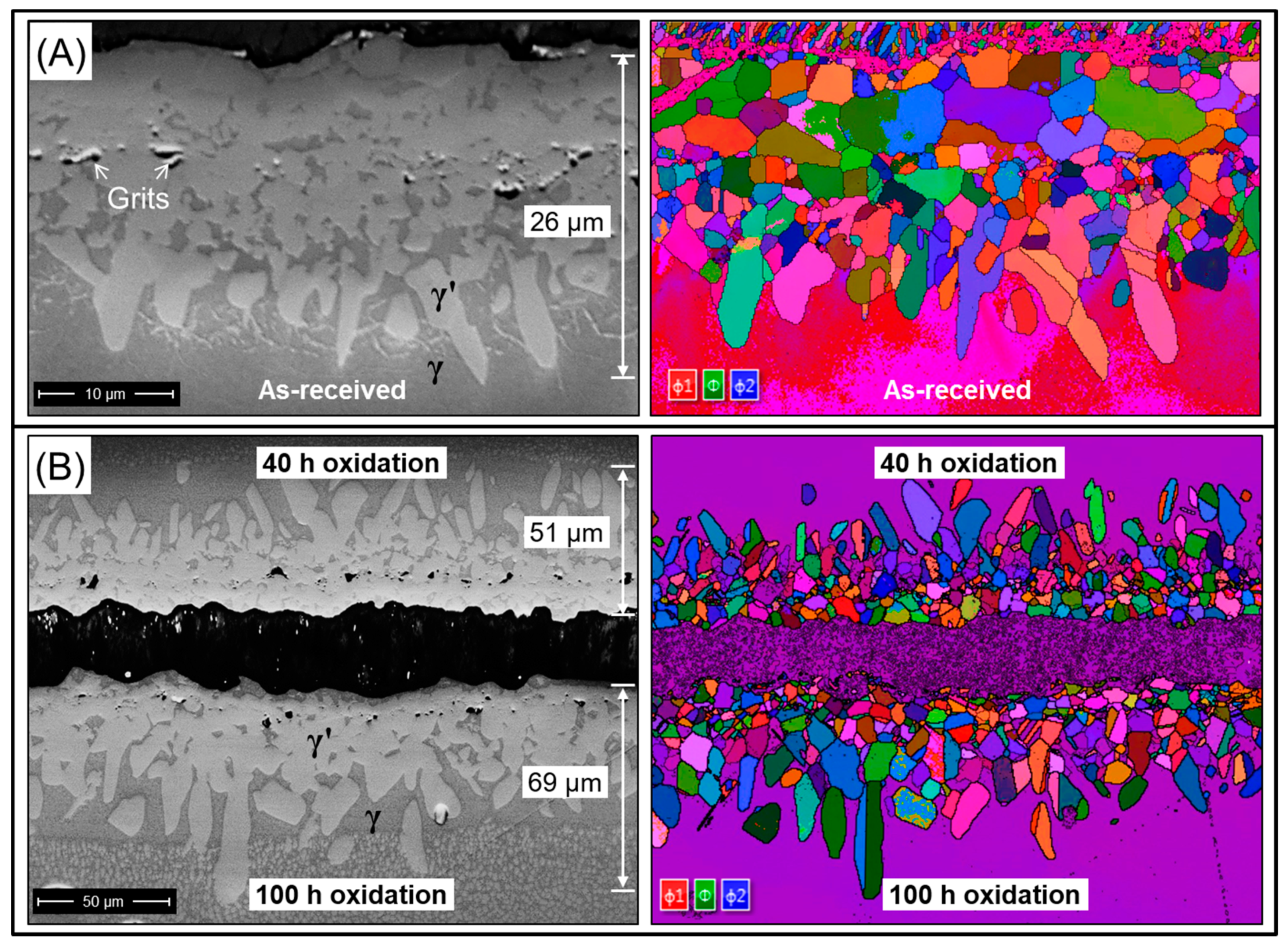 Coatings 11 00441 g005