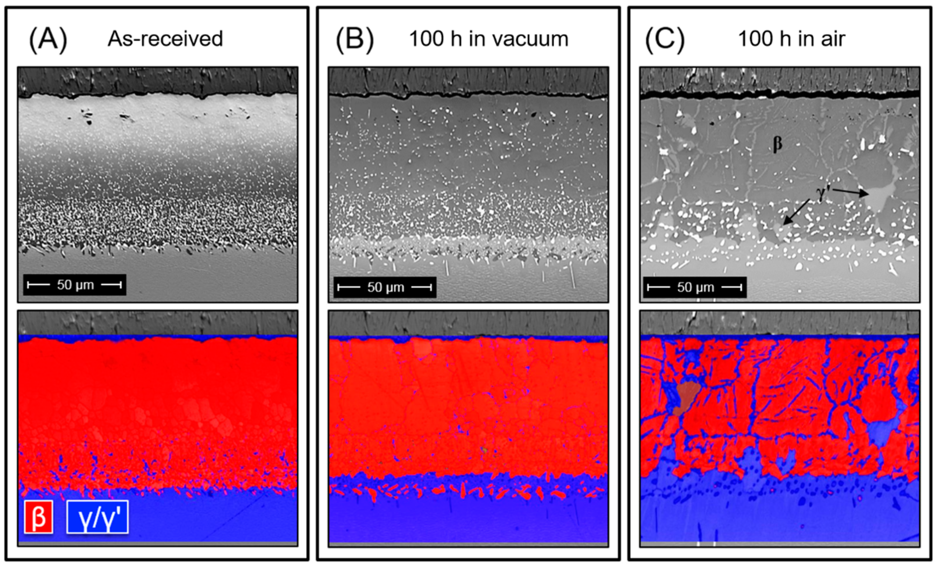 Coatings 11 00441 g007
