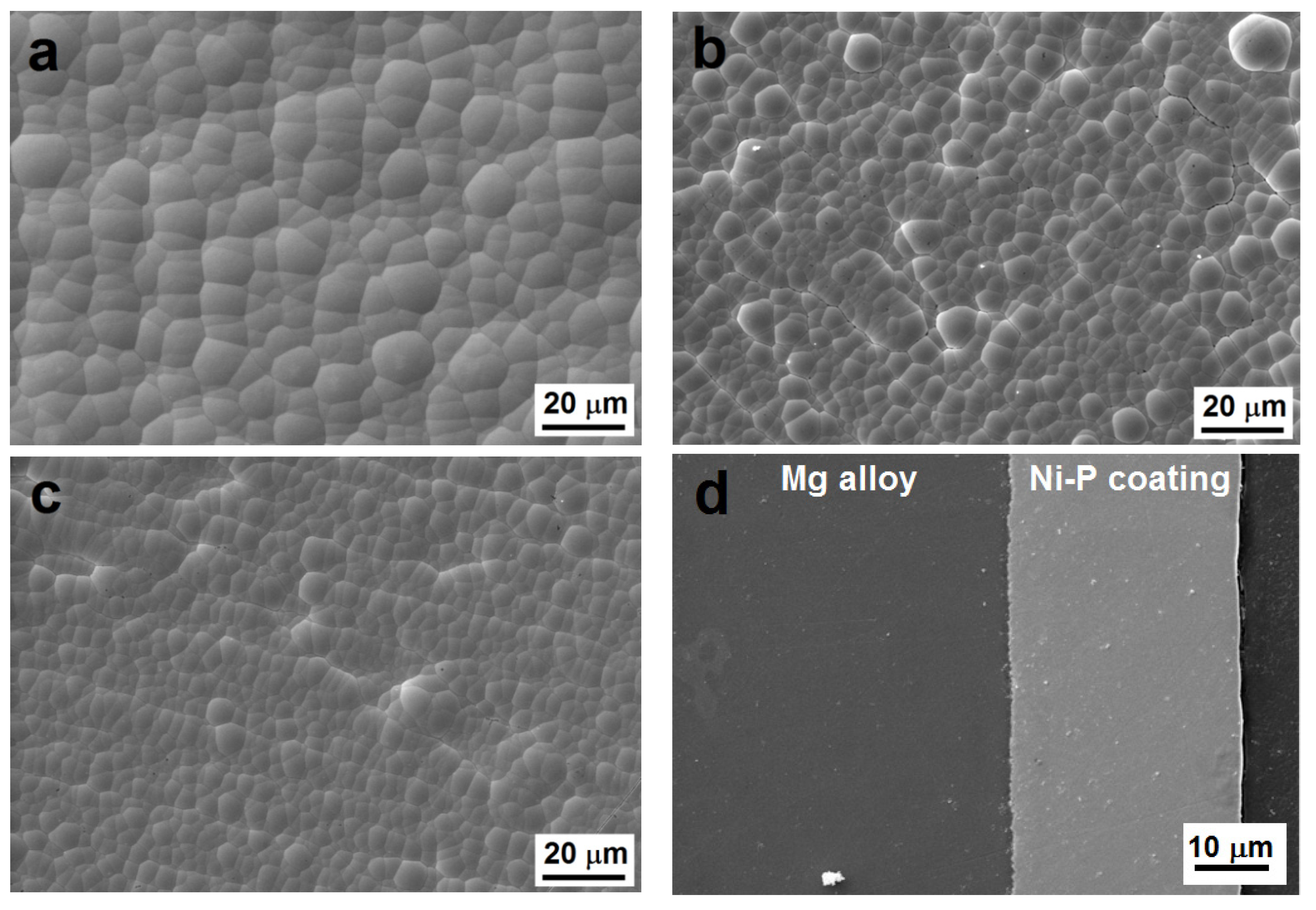 Coatings 11 00447 g001a