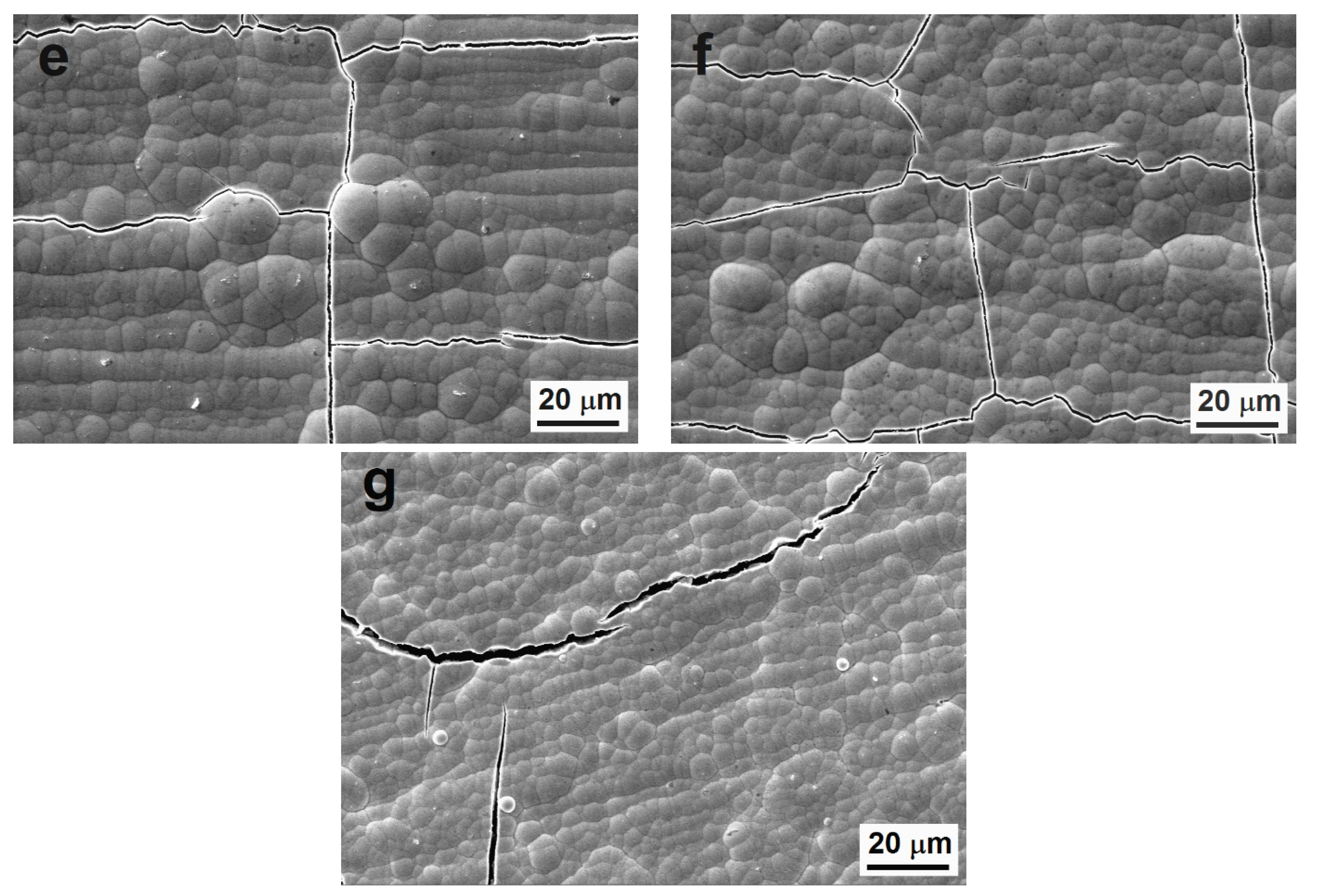 Coatings 11 00447 g001b