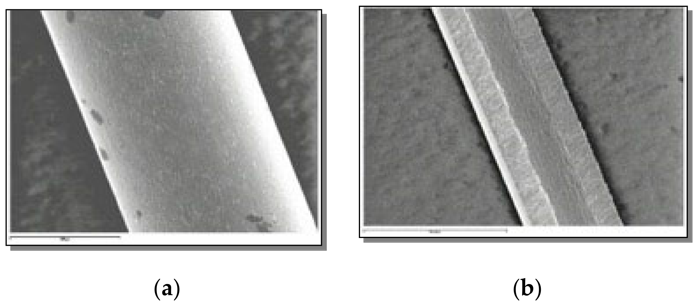 Coatings 11 00448 g005 Coatings 11 00448 g005