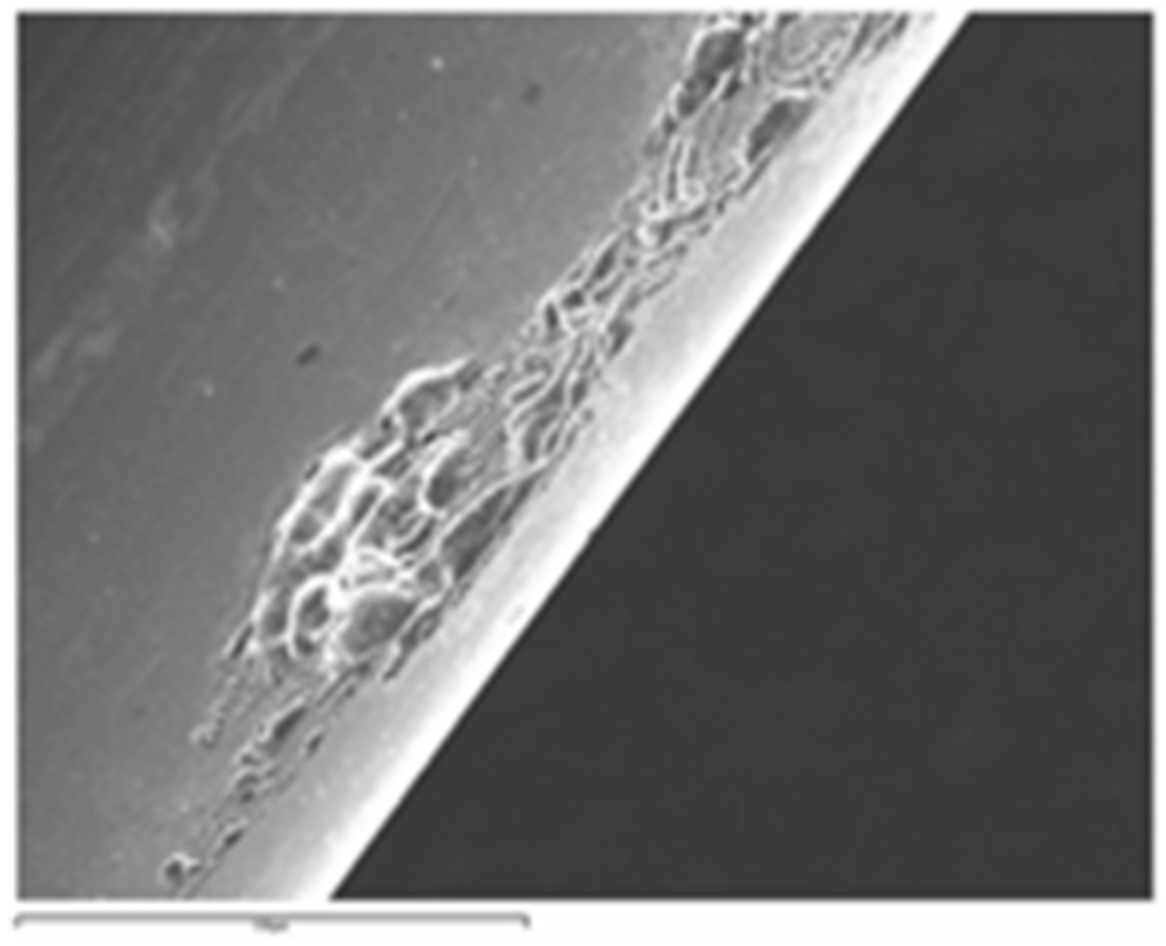 Coatings 11 00448 g010 Coatings 11 00448 g010