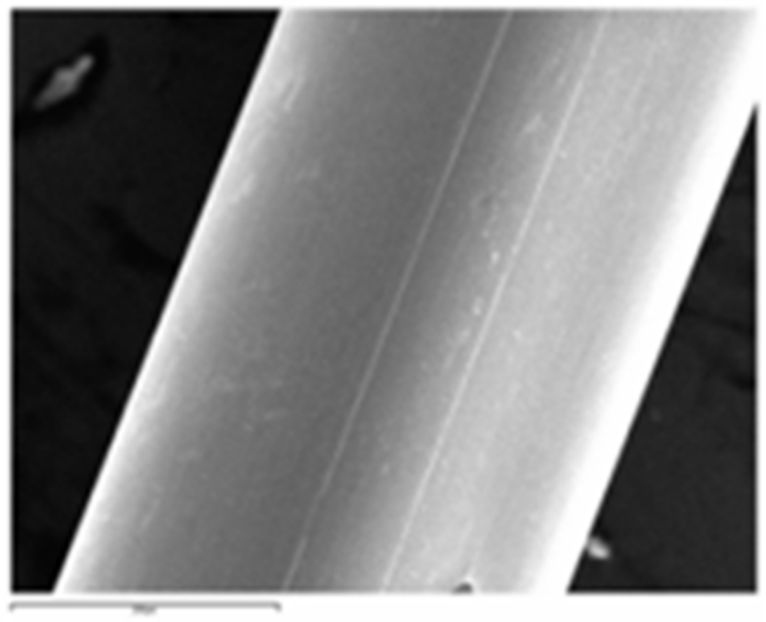 Coatings 11 00448 g013 Coatings 11 00448 g013