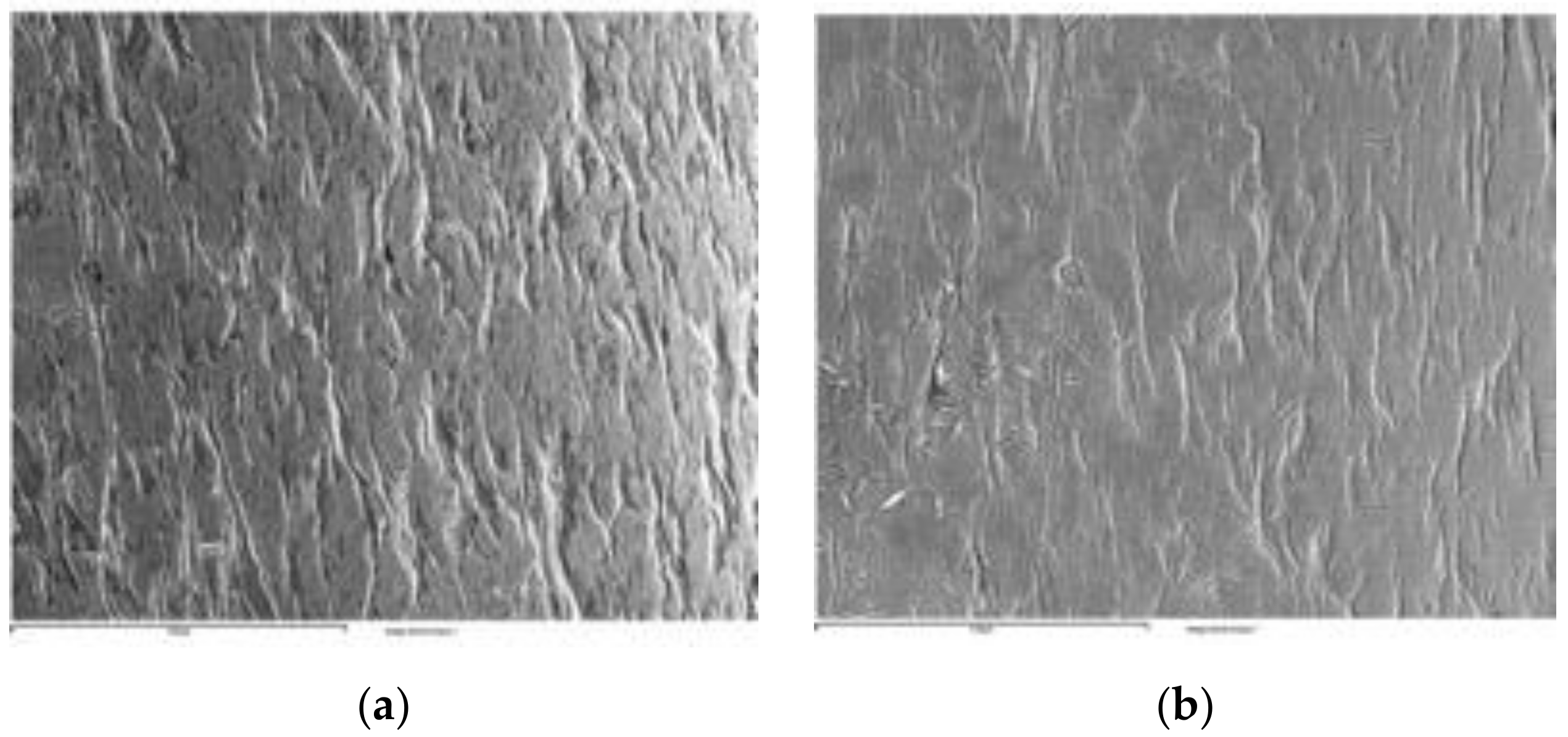 Coatings 11 00448 g016 Coatings 11 00448 g016