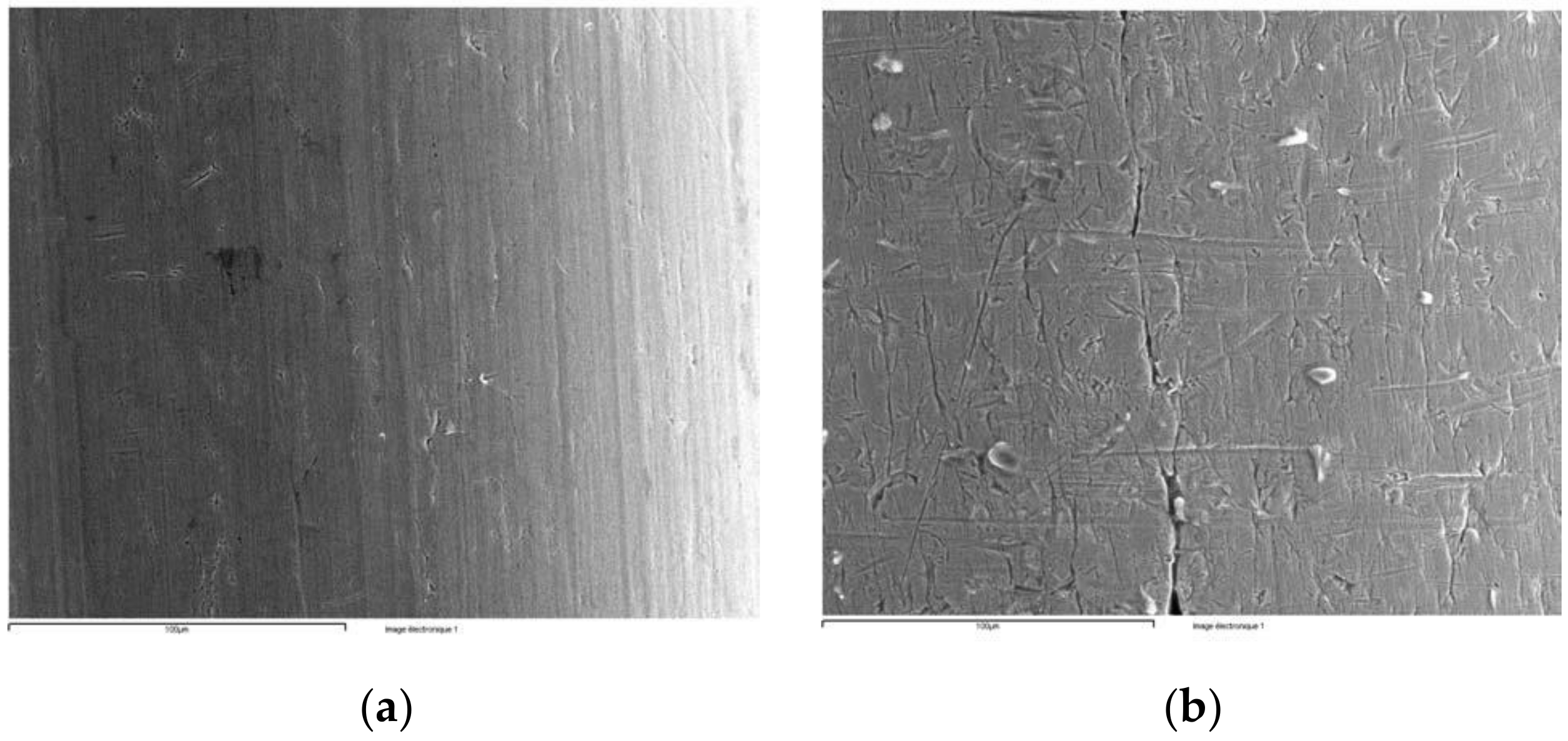 Coatings 11 00448 g017 Coatings 11 00448 g017