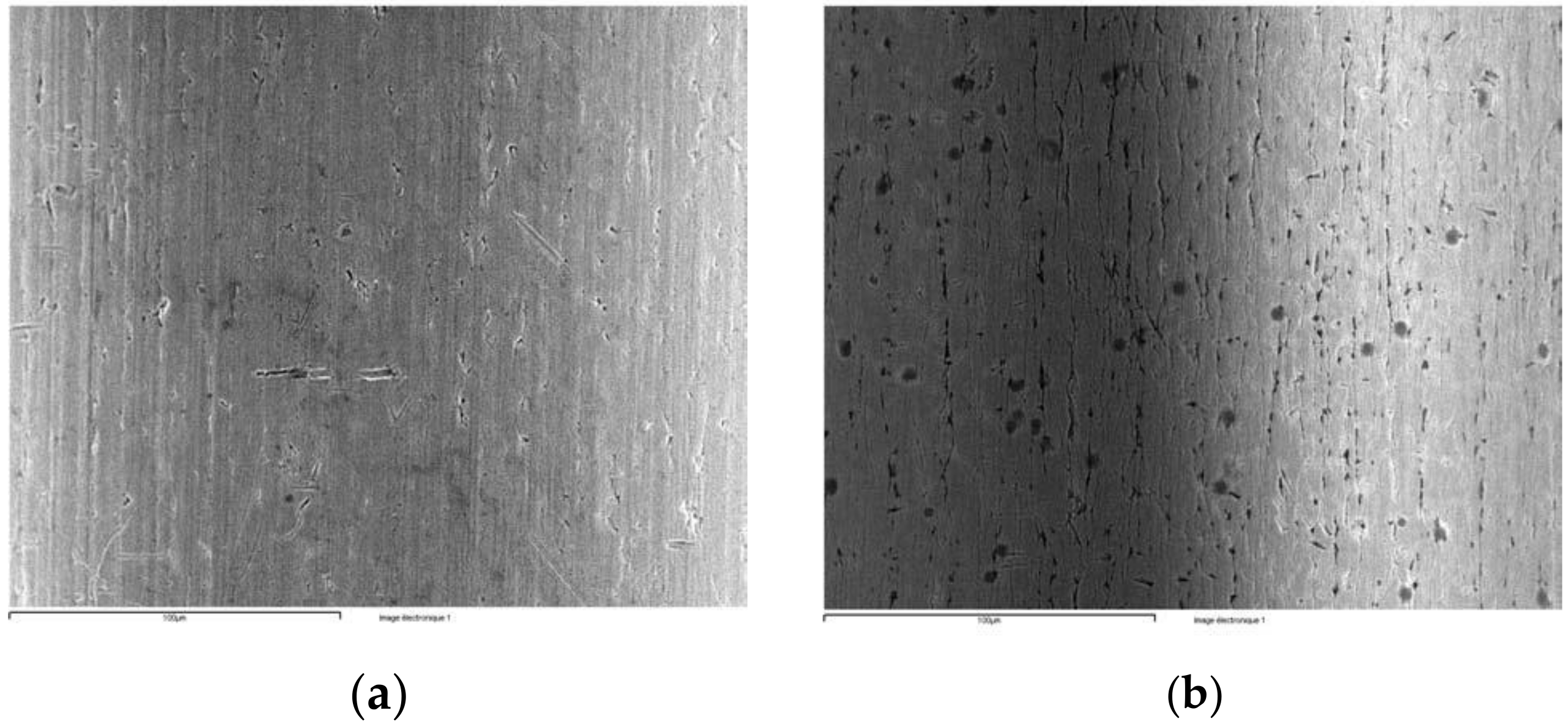 Coatings 11 00448 g018 Coatings 11 00448 g018