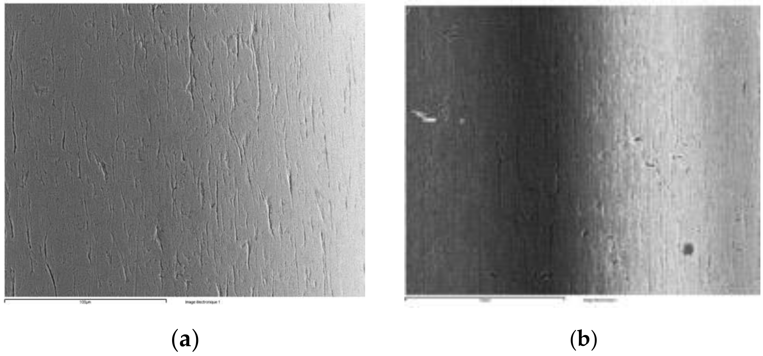 Coatings 11 00448 g019 Coatings 11 00448 g019