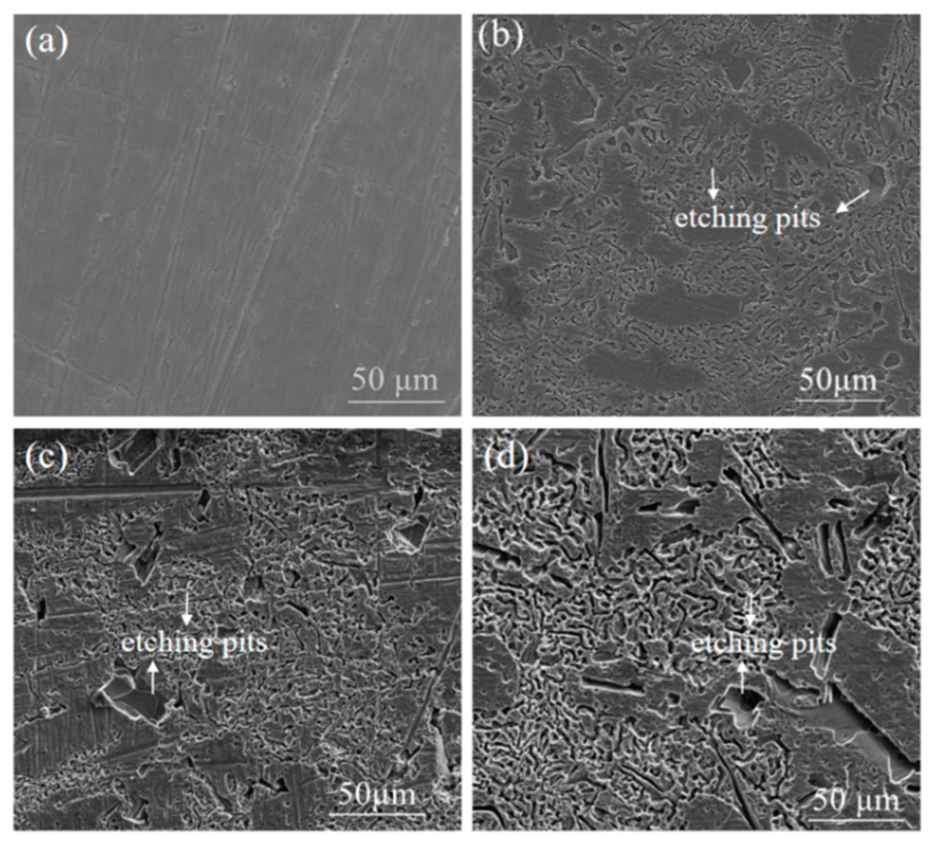 Coatings 11 00453 g002