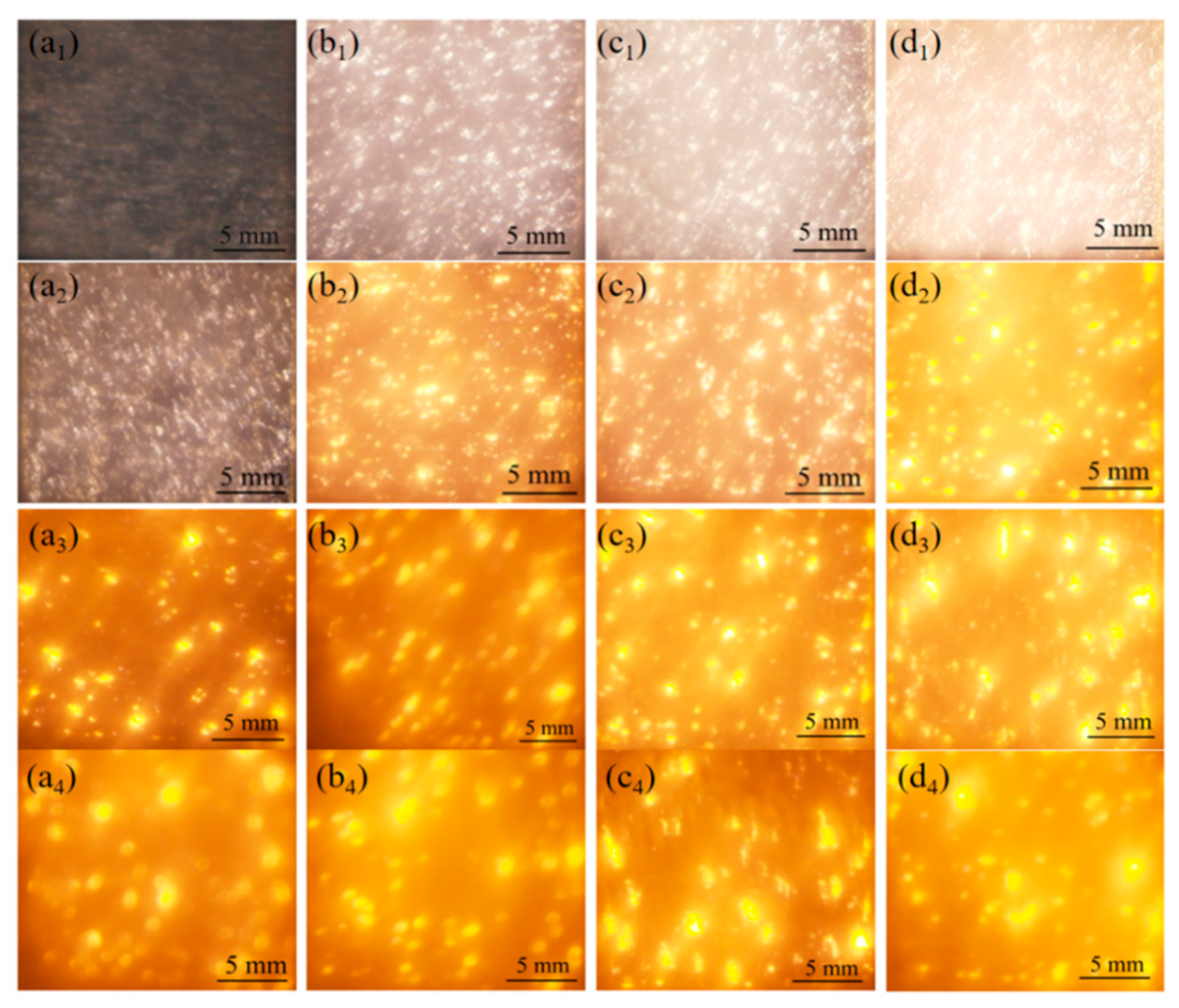 Coatings 11 00453 g004