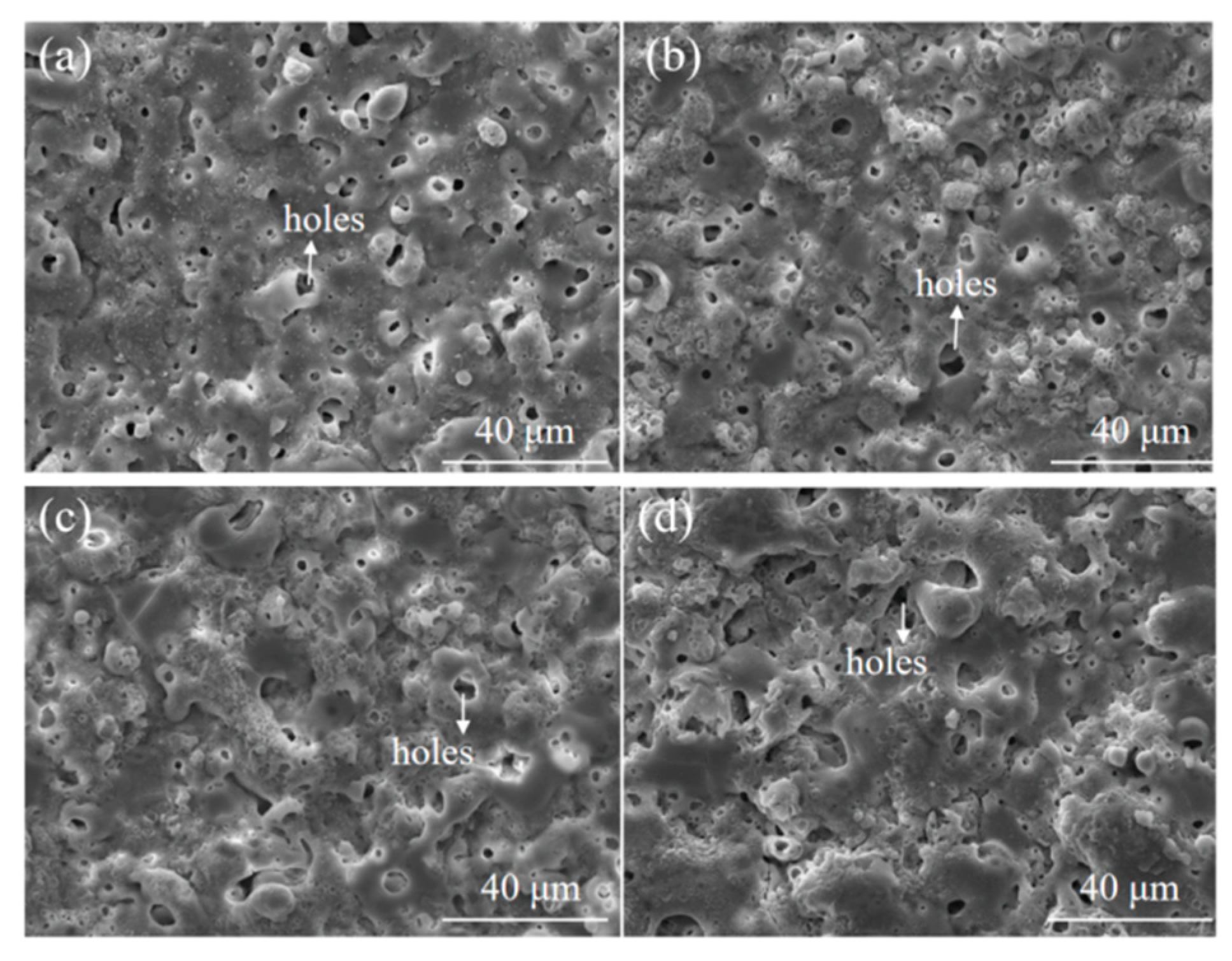 Coatings 11 00453 g006