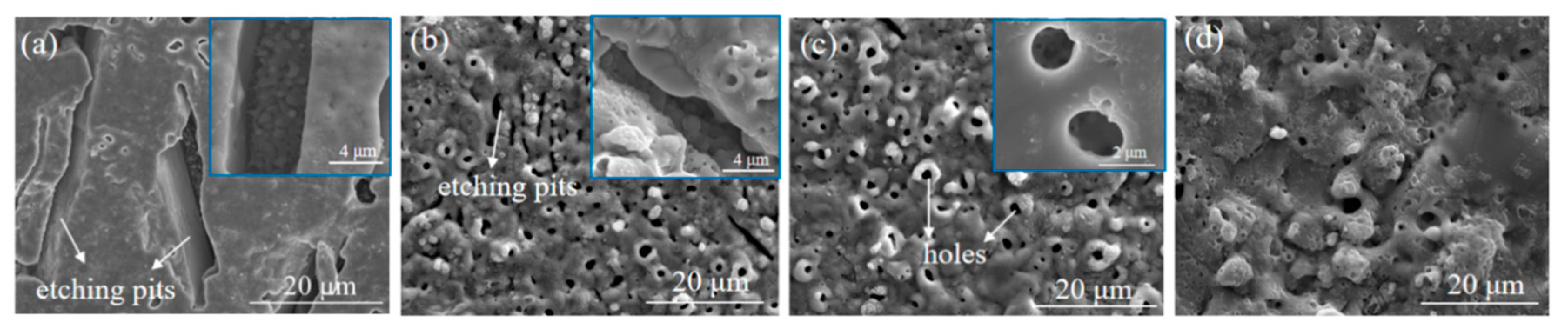 Coatings 11 00453 g013