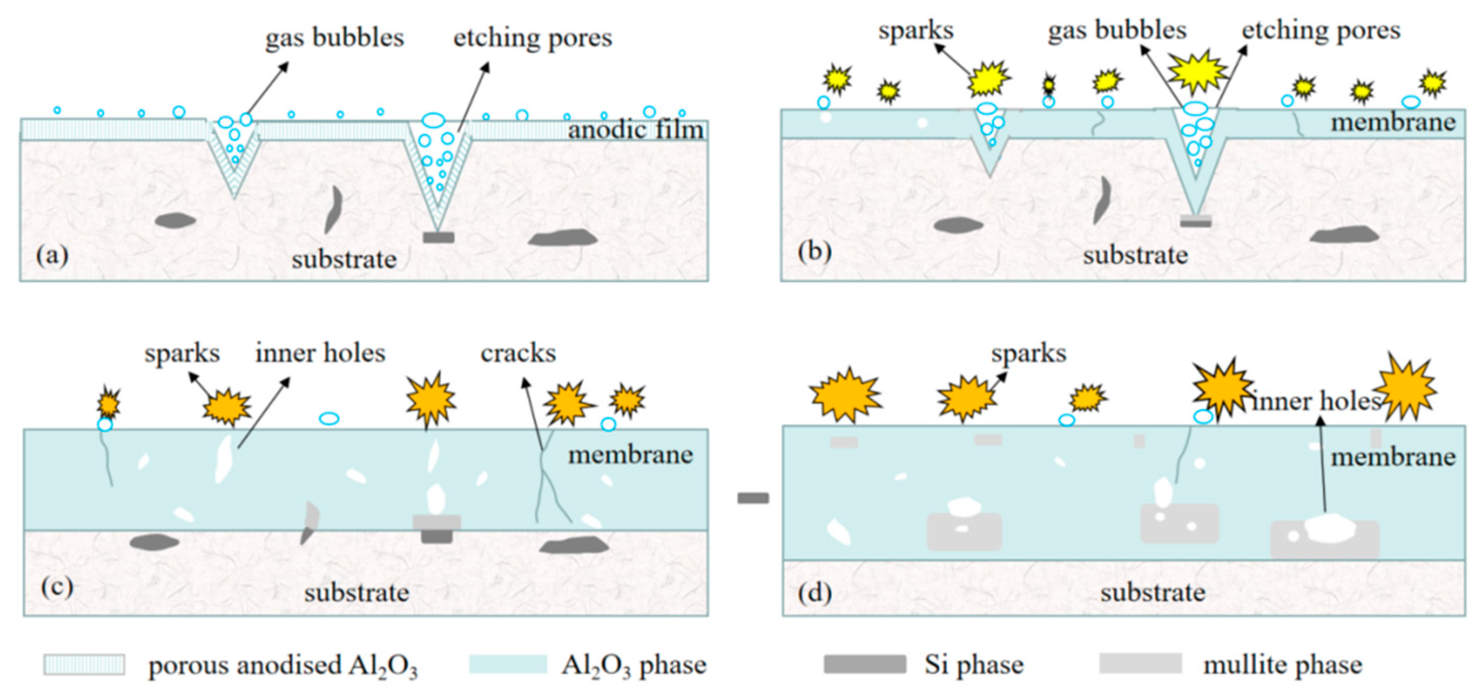 Coatings 11 00453 g014