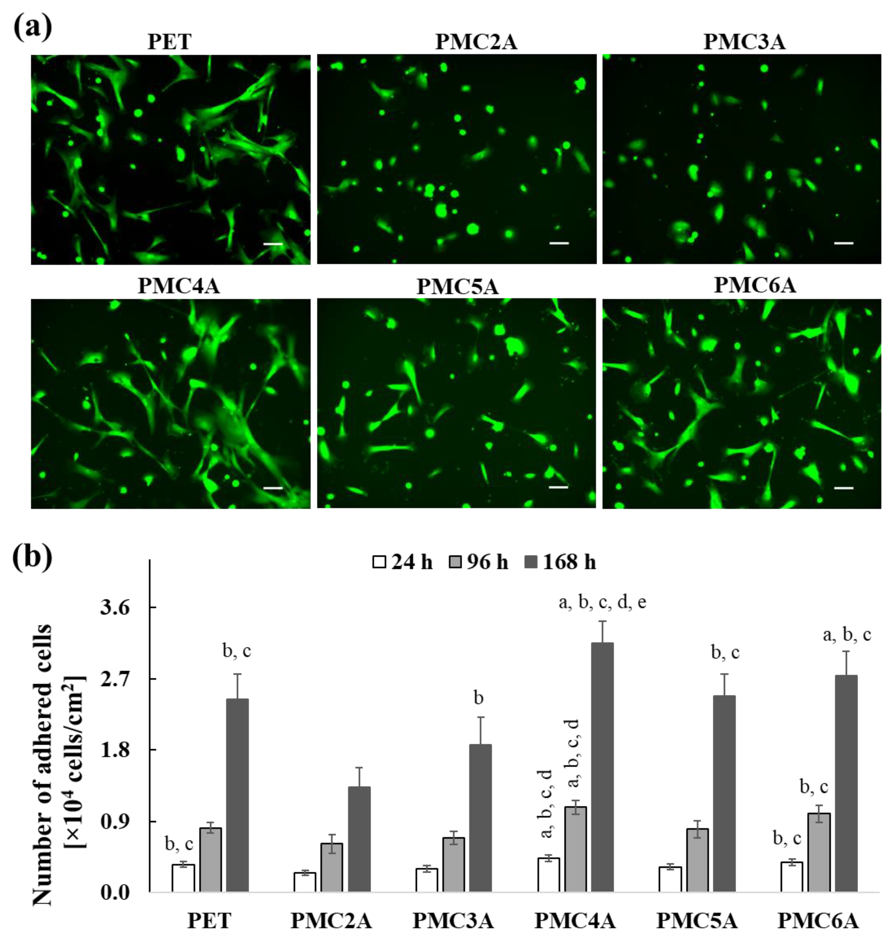 Coatings 11 00461 g002 Coatings 11 00461 g002