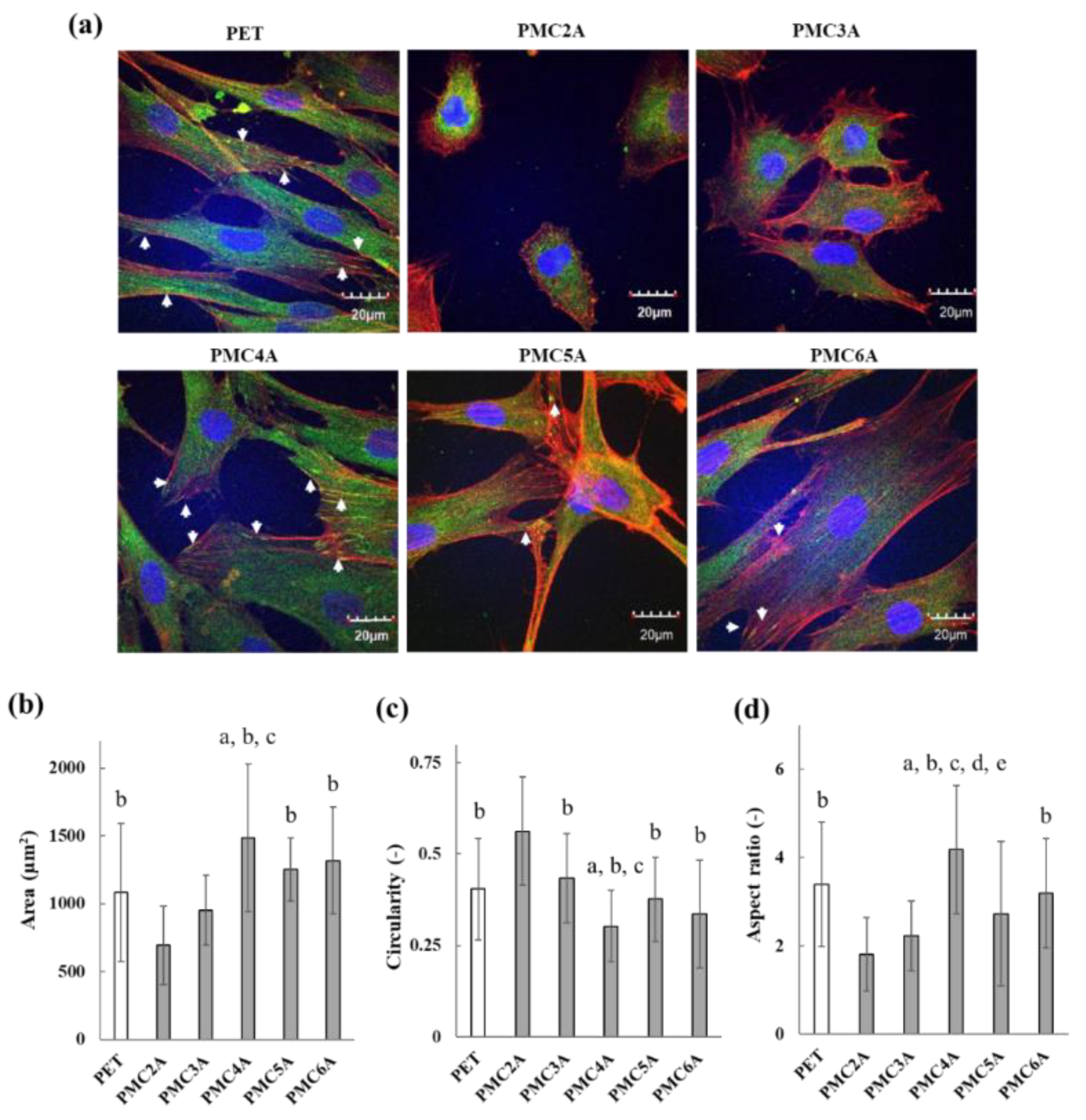 Coatings 11 00461 g004 Coatings 11 00461 g004